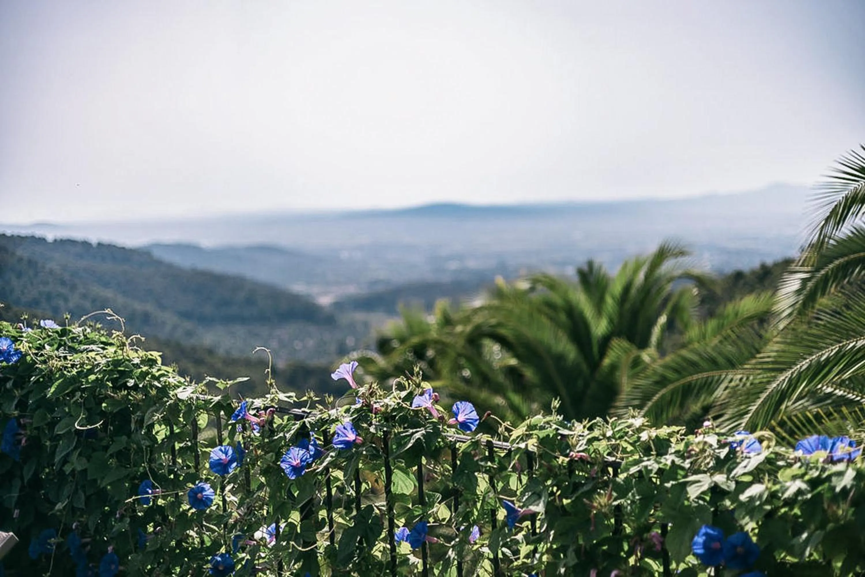 Spring in Posada del Marqués I A Slow Design Hotel