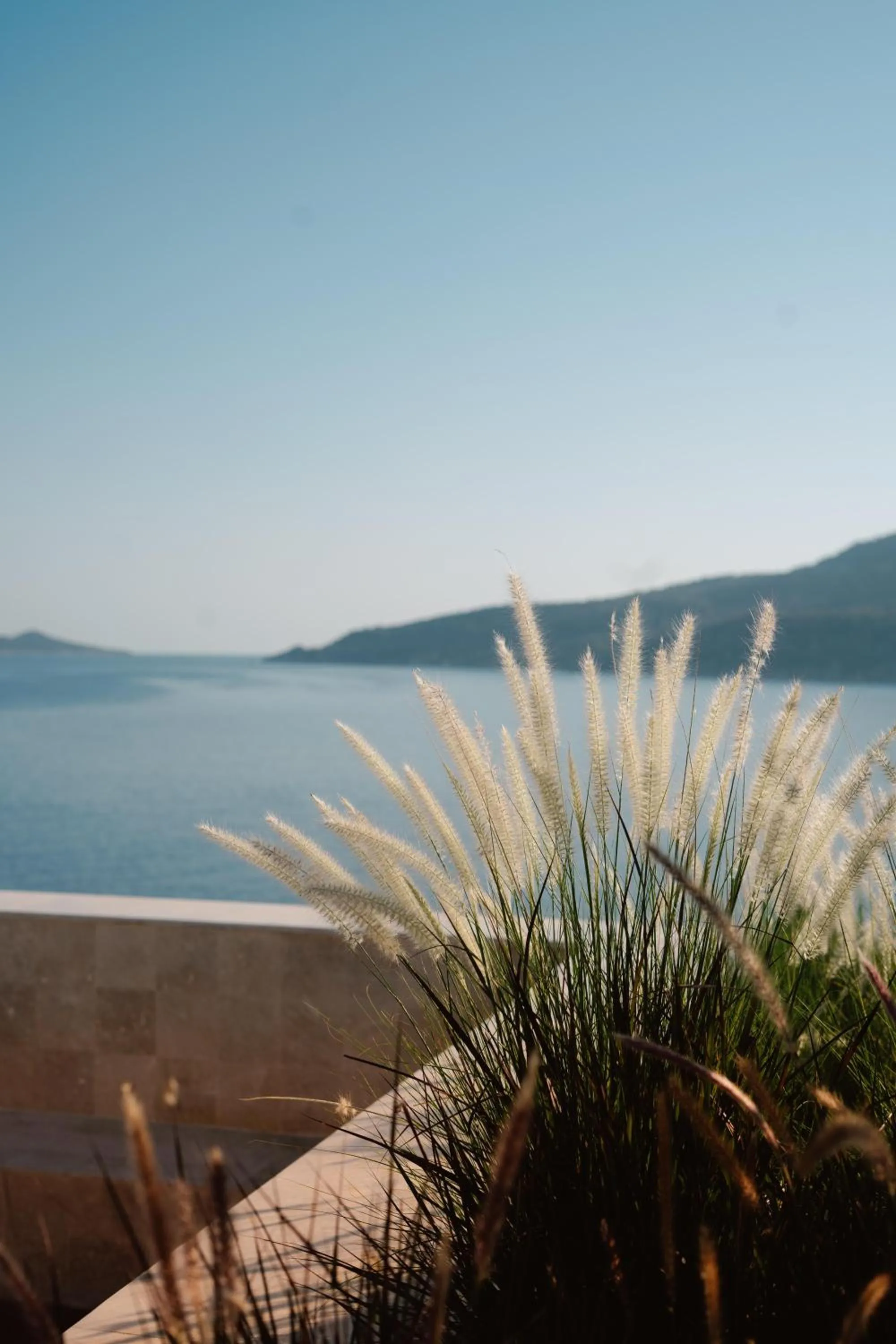 Balcony/Terrace in Lures Hotel