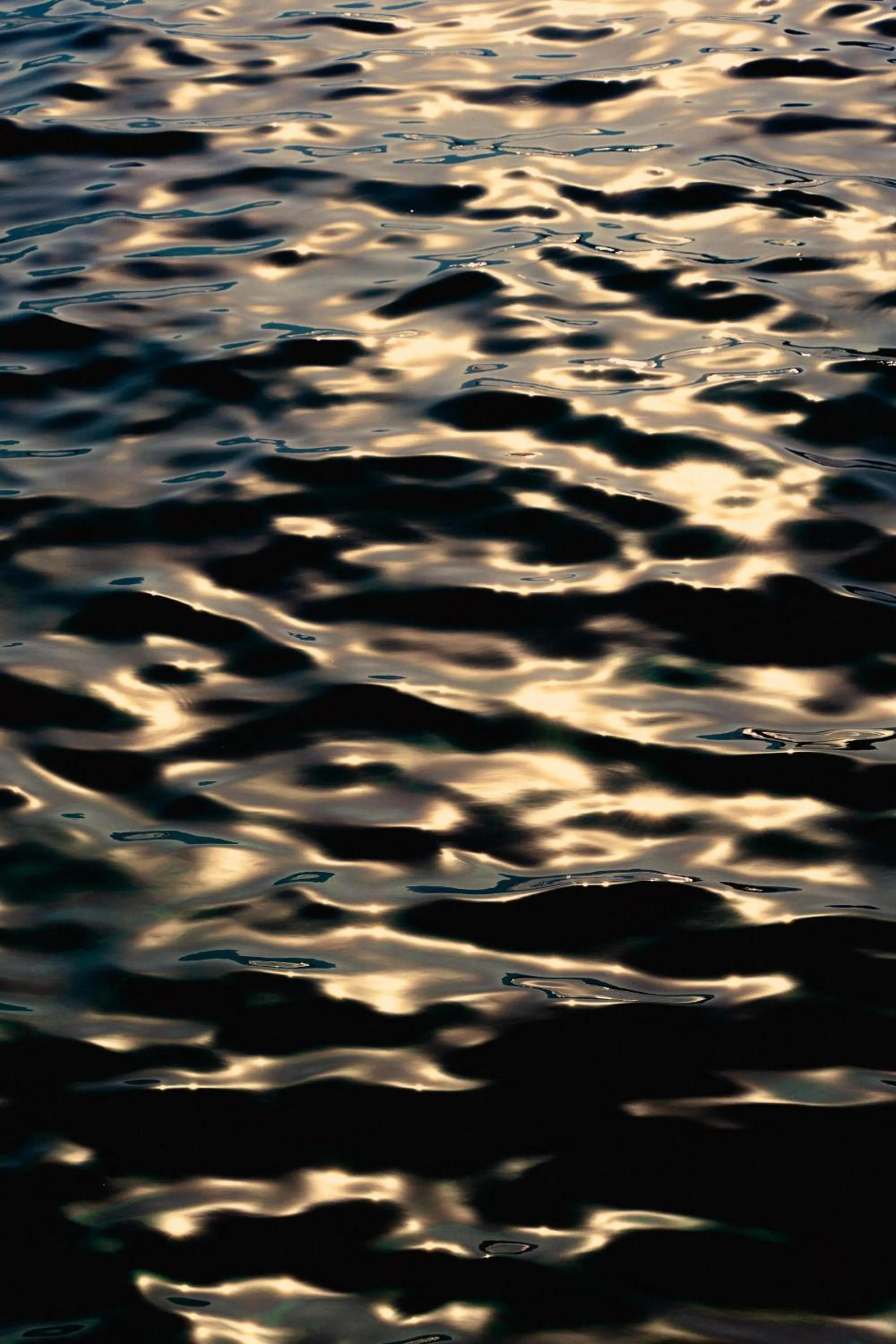 Beach in Lures Hotel