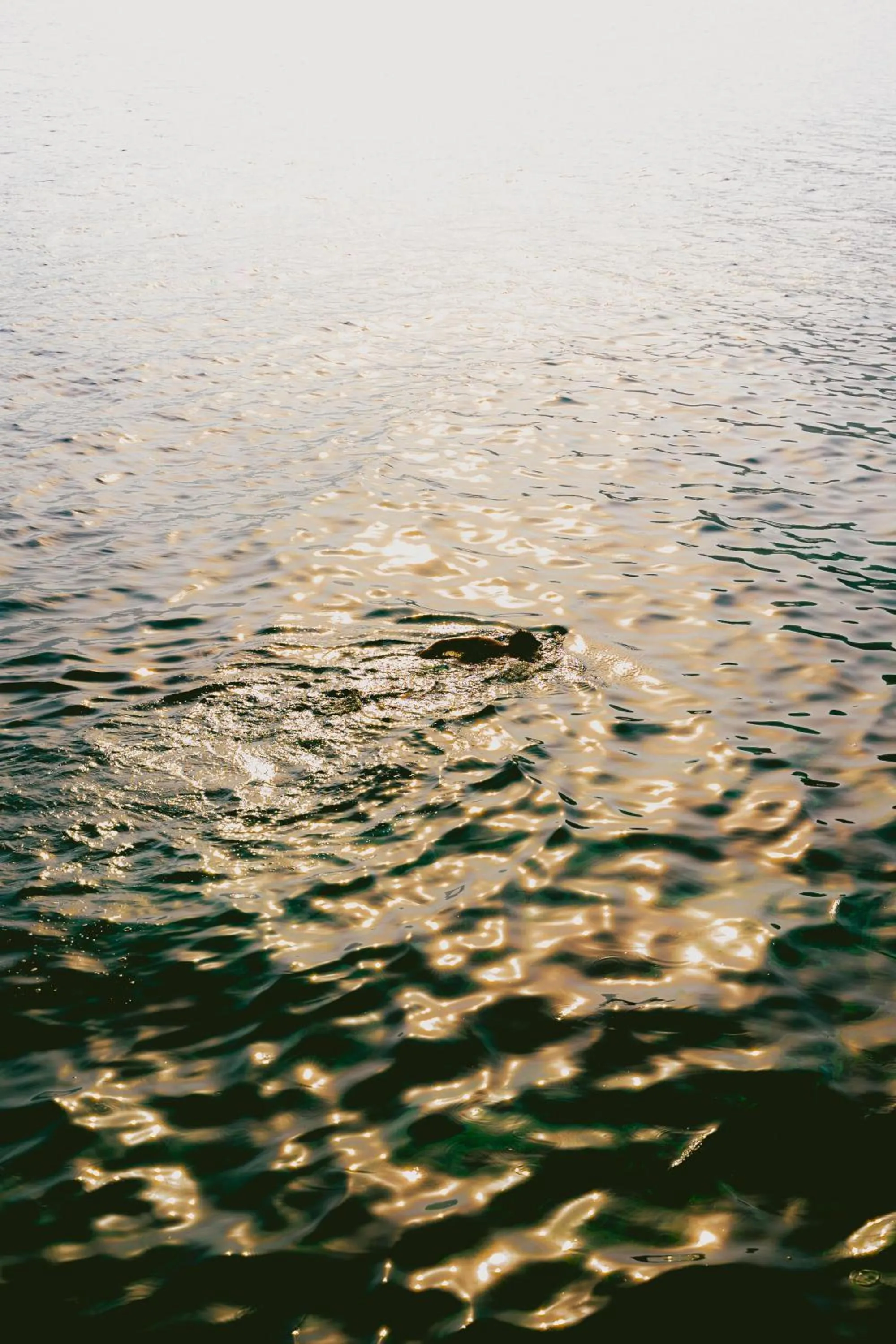 Beach in Lures Hotel