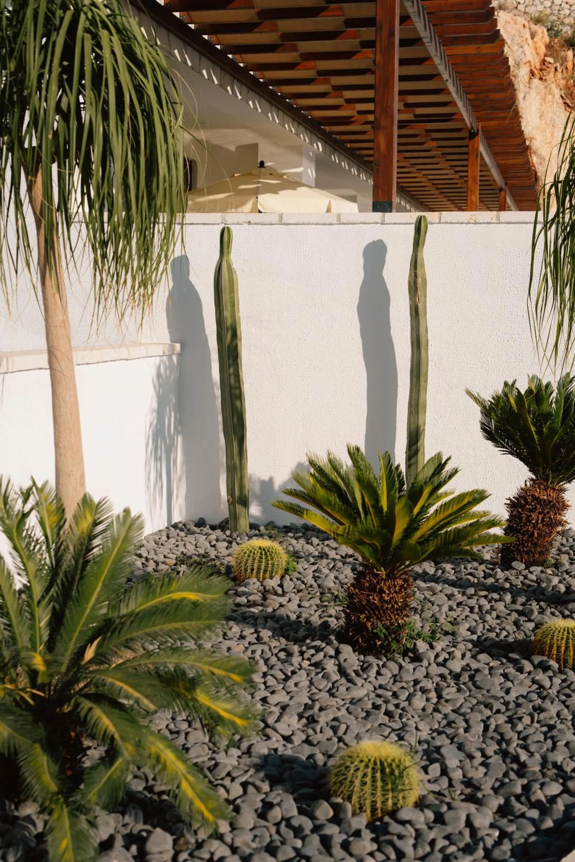 Garden in Lures Hotel