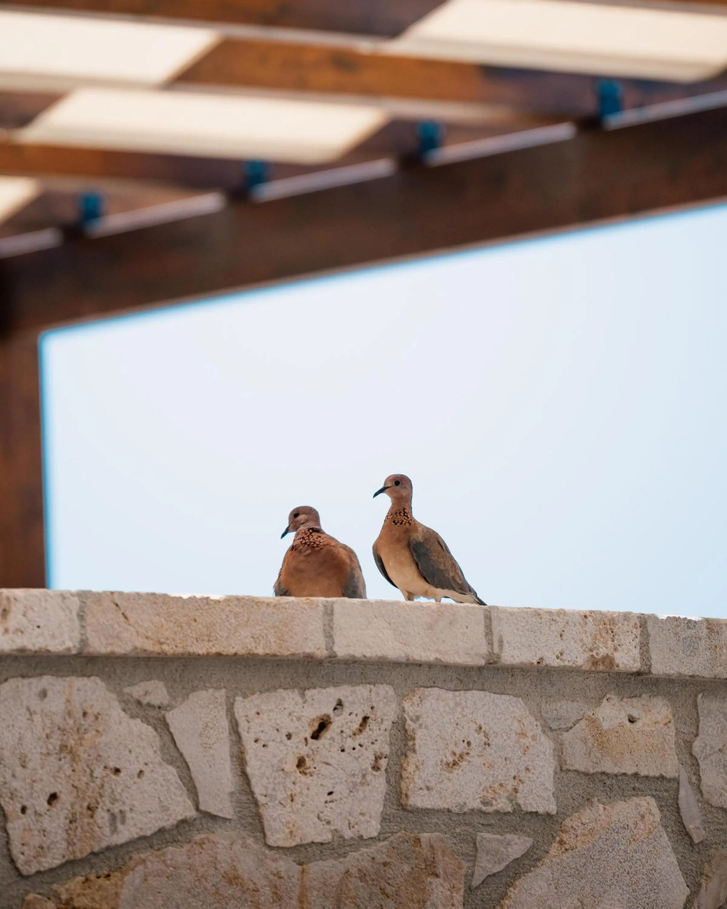 Property building in Lures Hotel