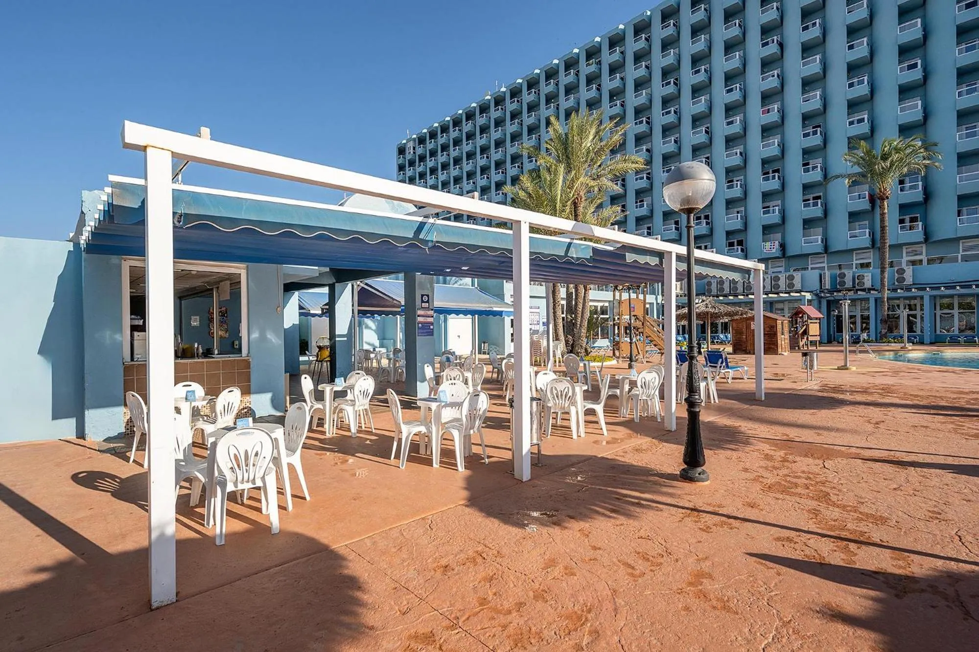 Pets in Hotel Playas de Guardamar