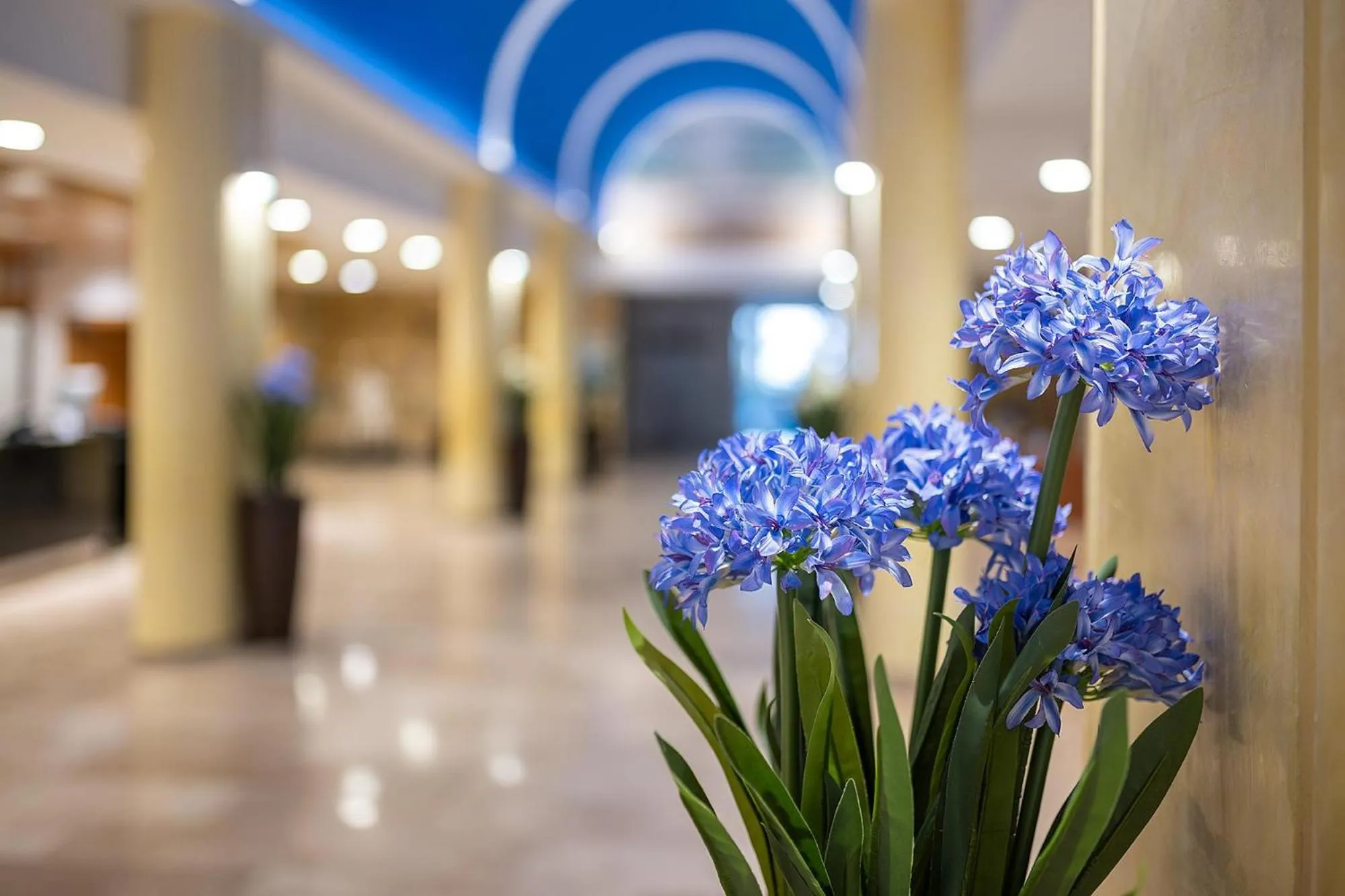 Garden in Hotel Playas de Guardamar