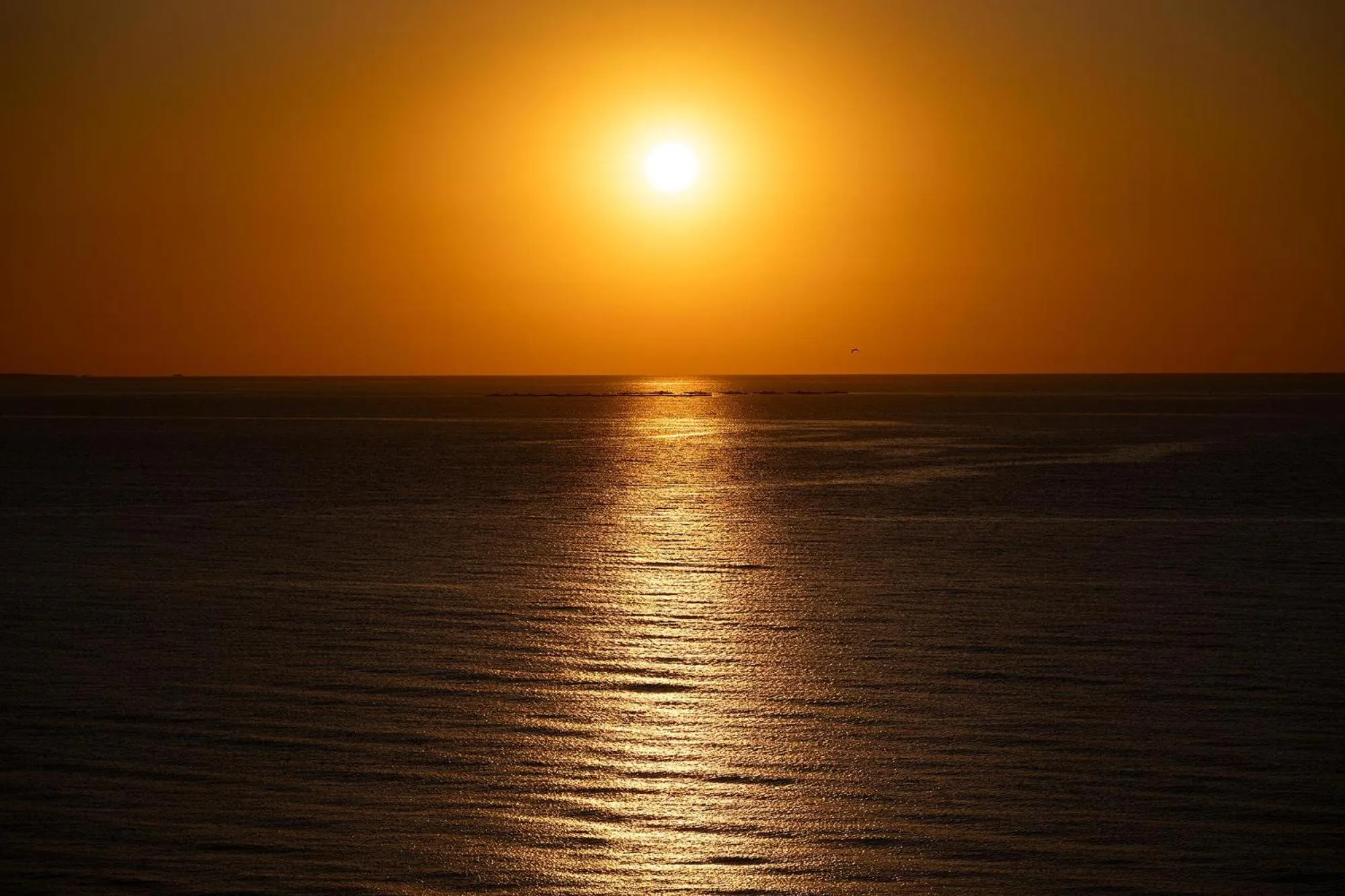 Natural landscape in Hotel Playas de Guardamar