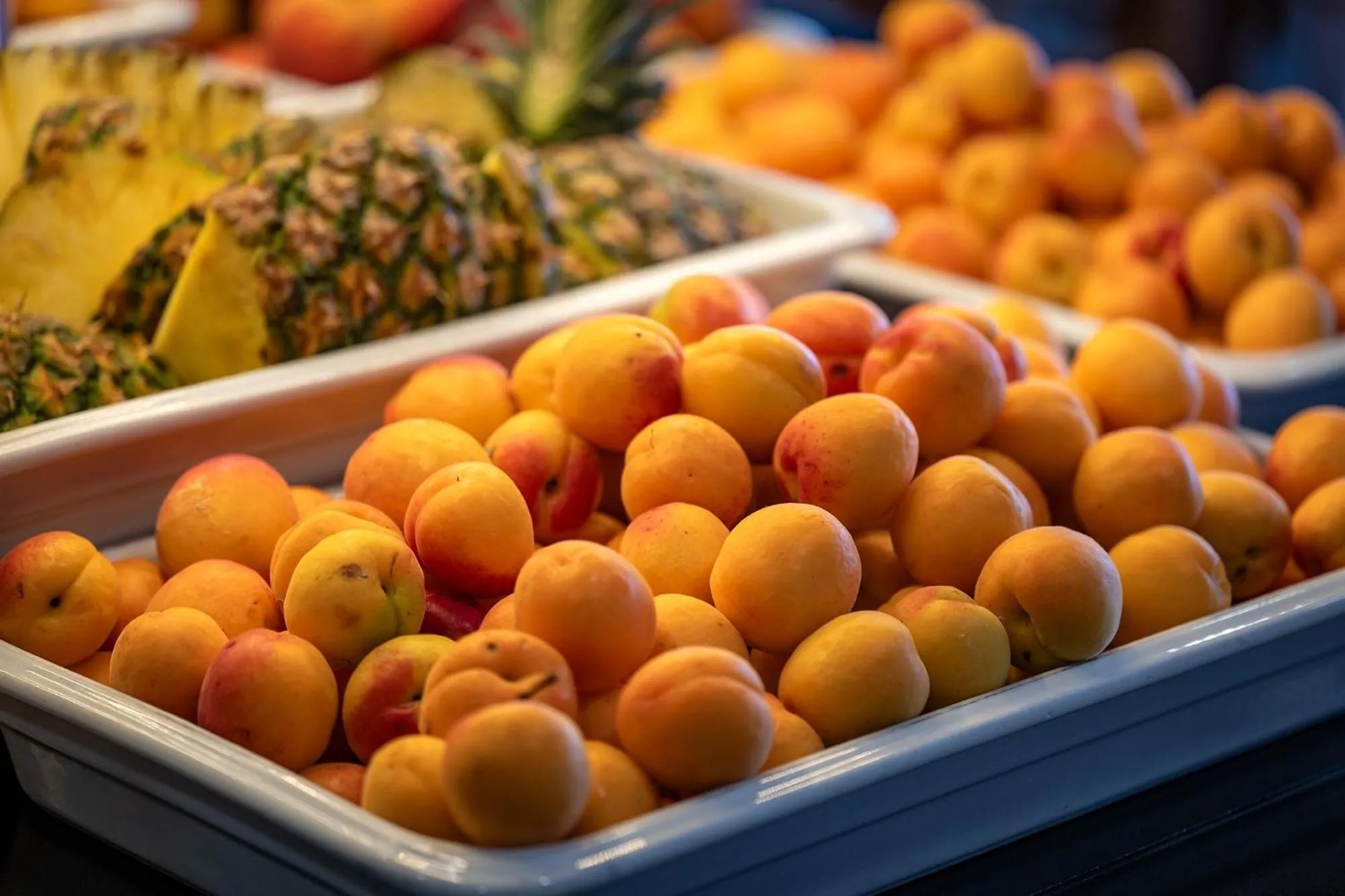 Restaurant/places to eat in Hotel Playas de Guardamar