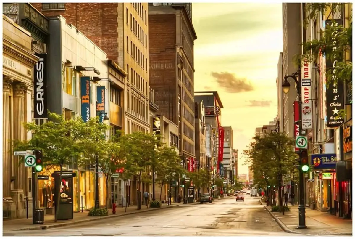 M11 Gorgeous Bright Corner 2BR in Heart of MTL