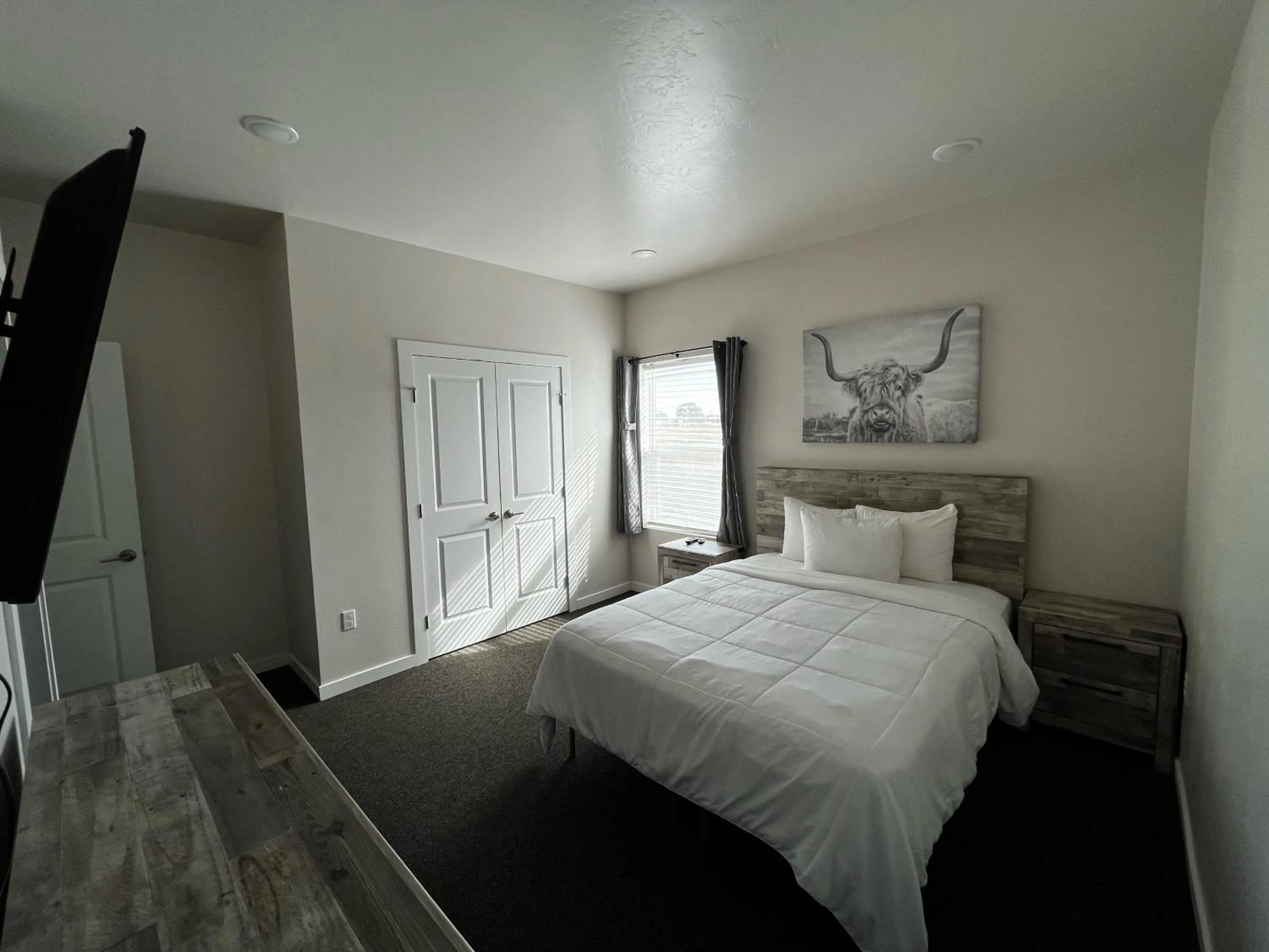 Photo of the whole room in Longhorn Flats