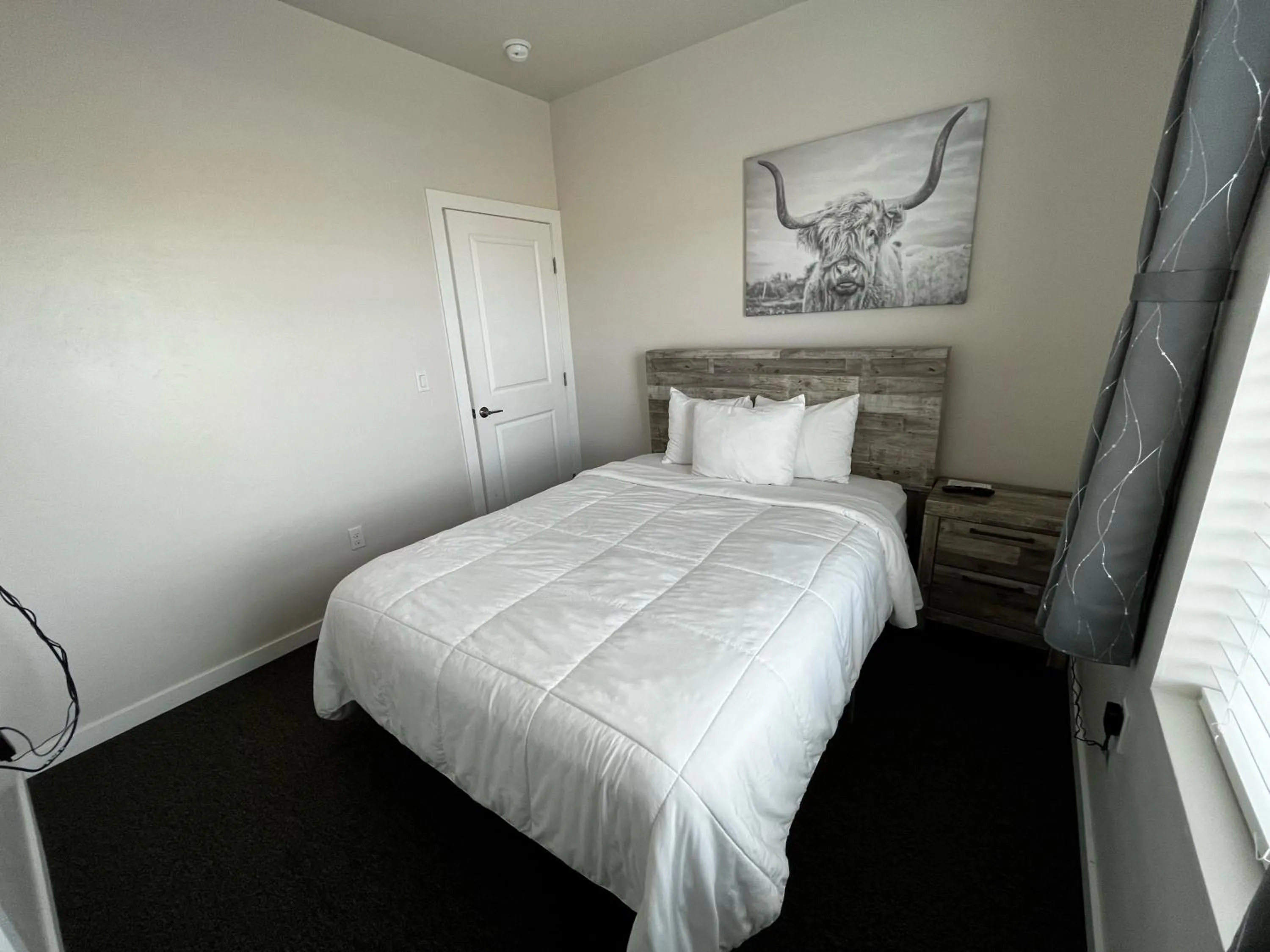 Photo of the whole room in Longhorn Flats