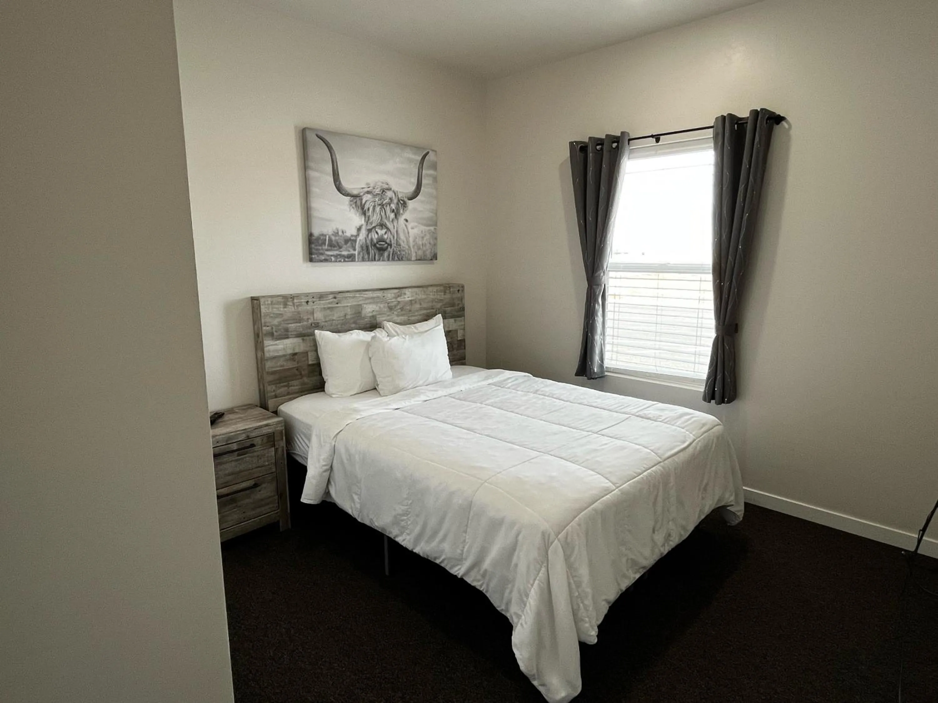 Photo of the whole room in Longhorn Flats