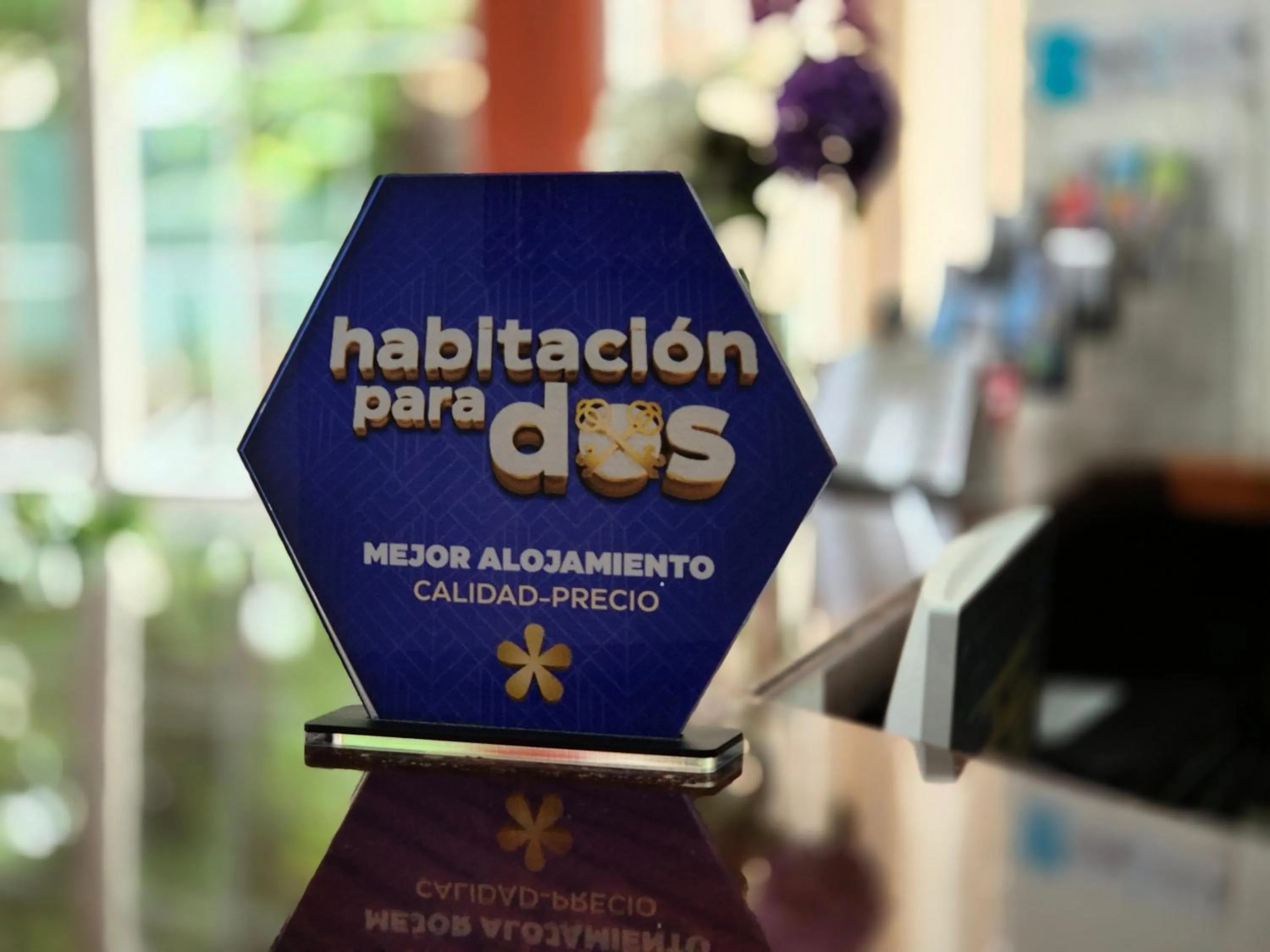 Certificate/Award in Hotel Harrison Etxea