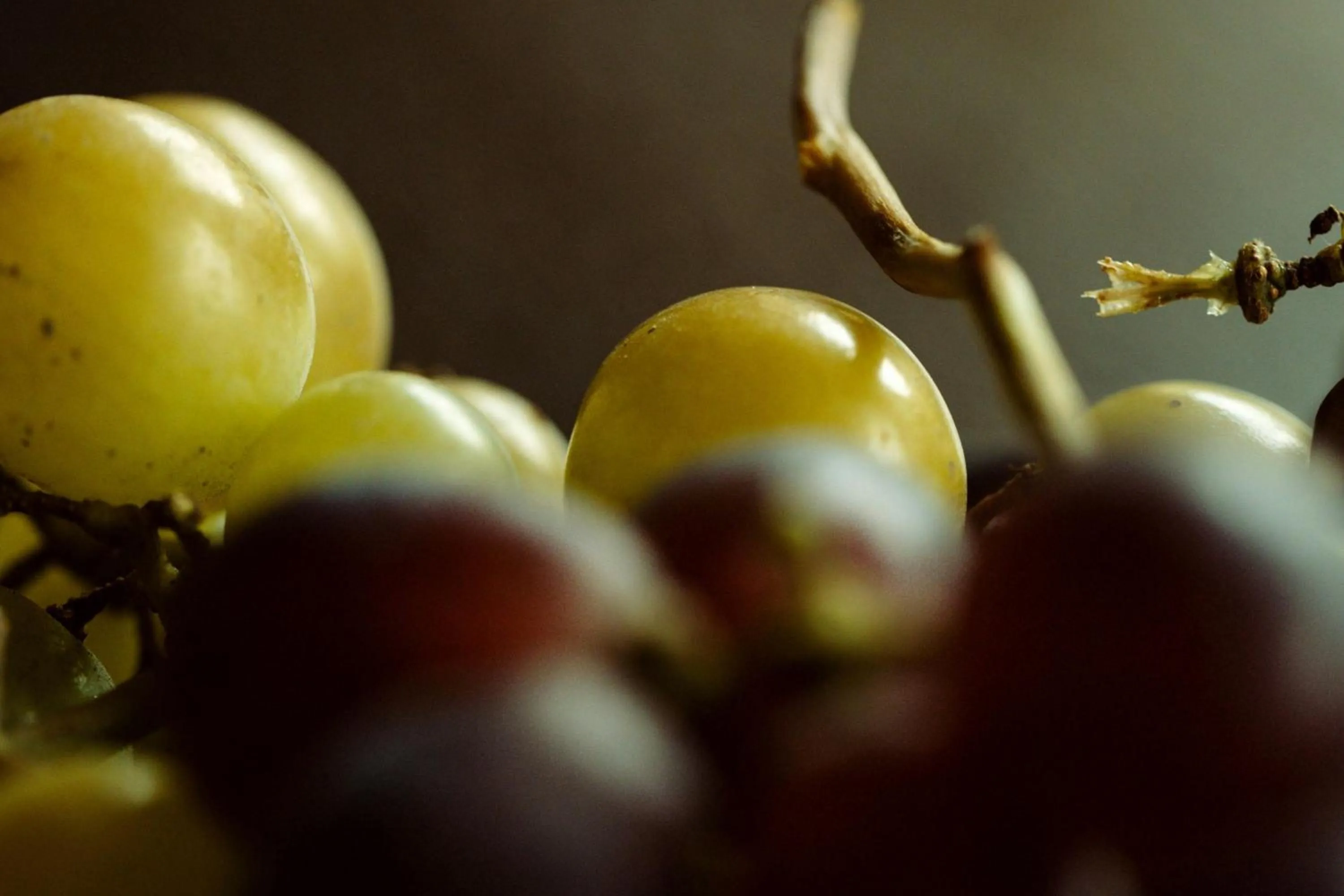 Spa and wellness centre/facilities in Hotel Marqués de Riscal, a Luxury Collection Hotel, Elciego
