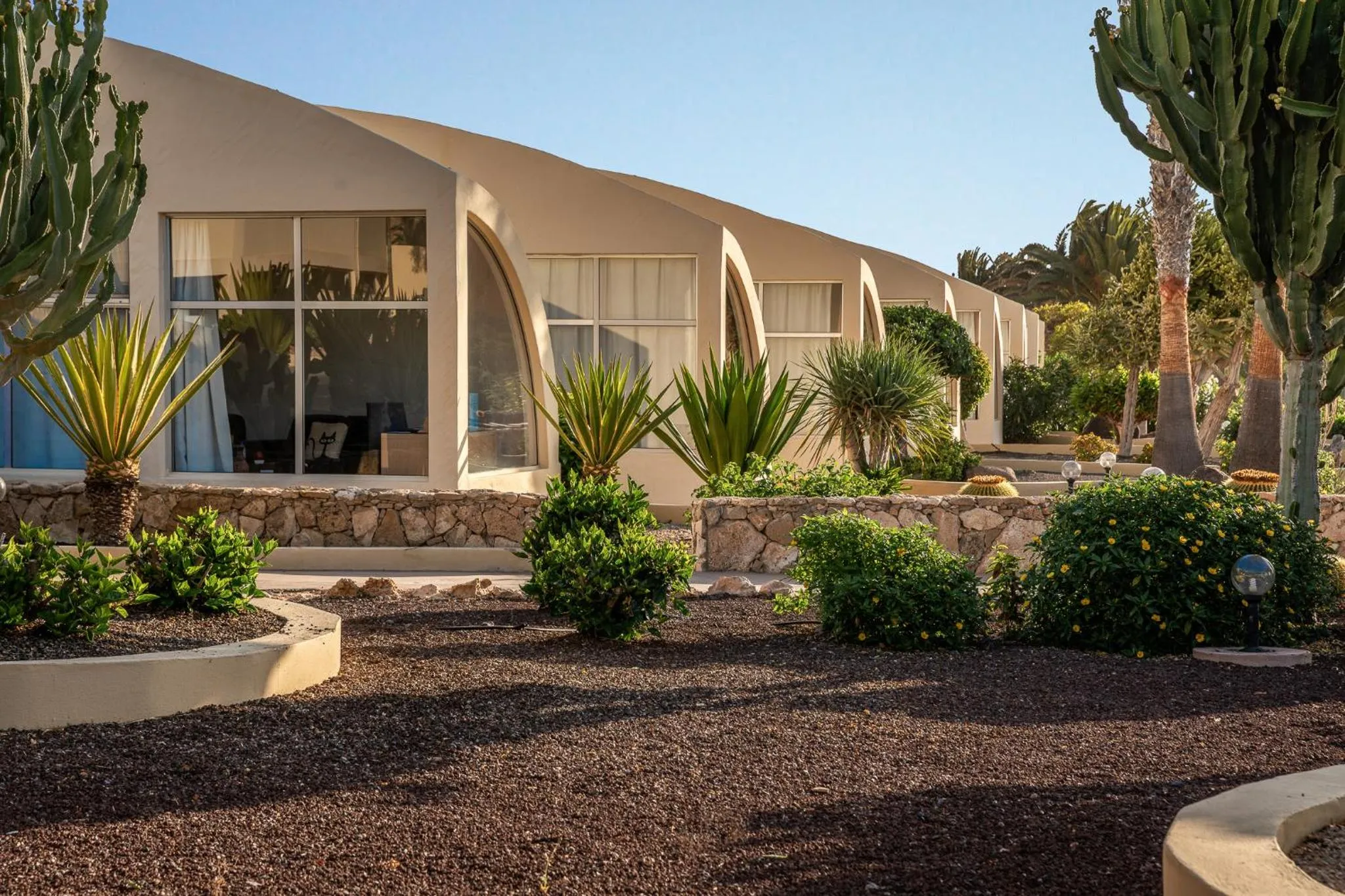 Area and facilities in Hotel LIVVO Risco del Gato Suites