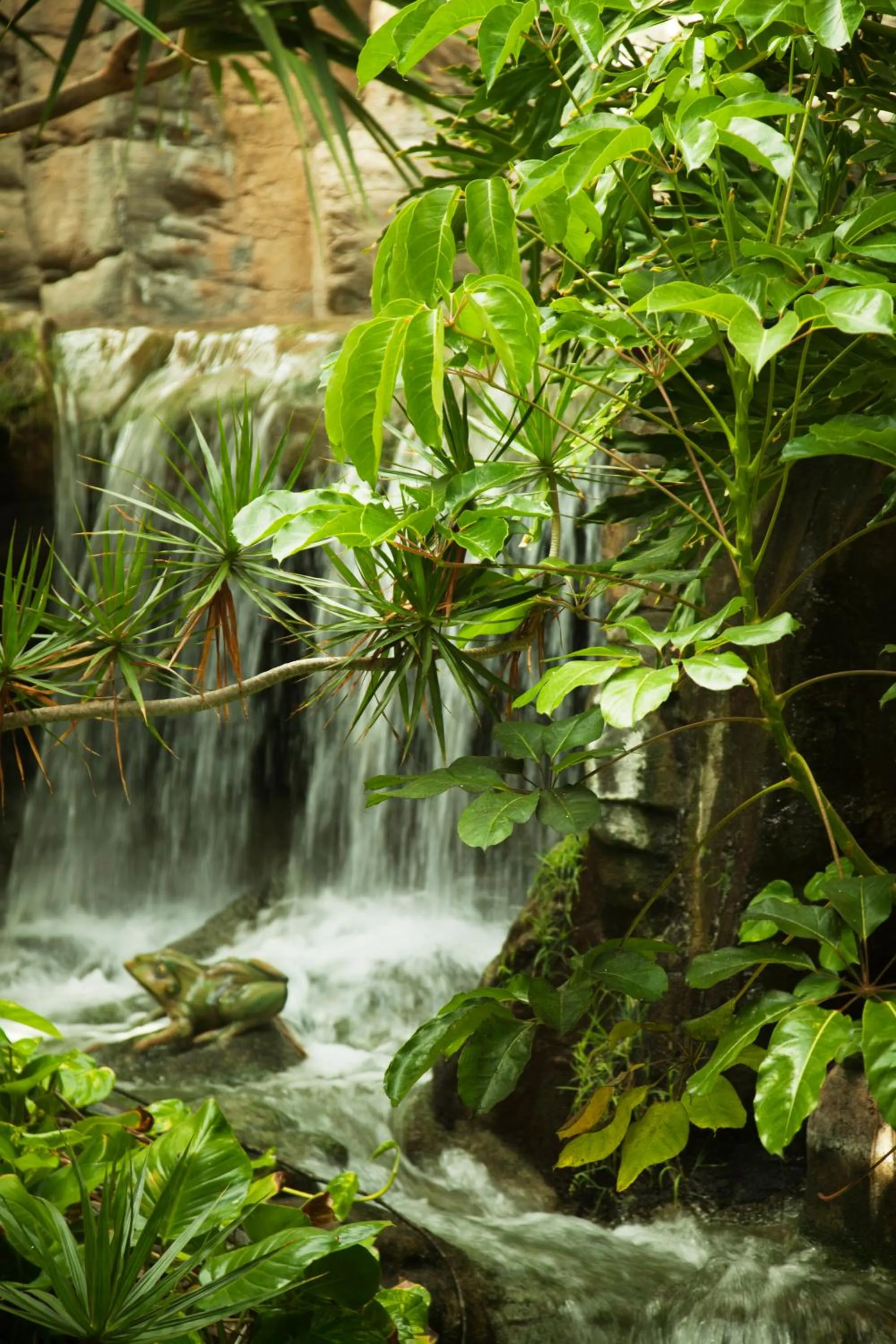 Other in Adrián Hoteles Jardines de Nivaria