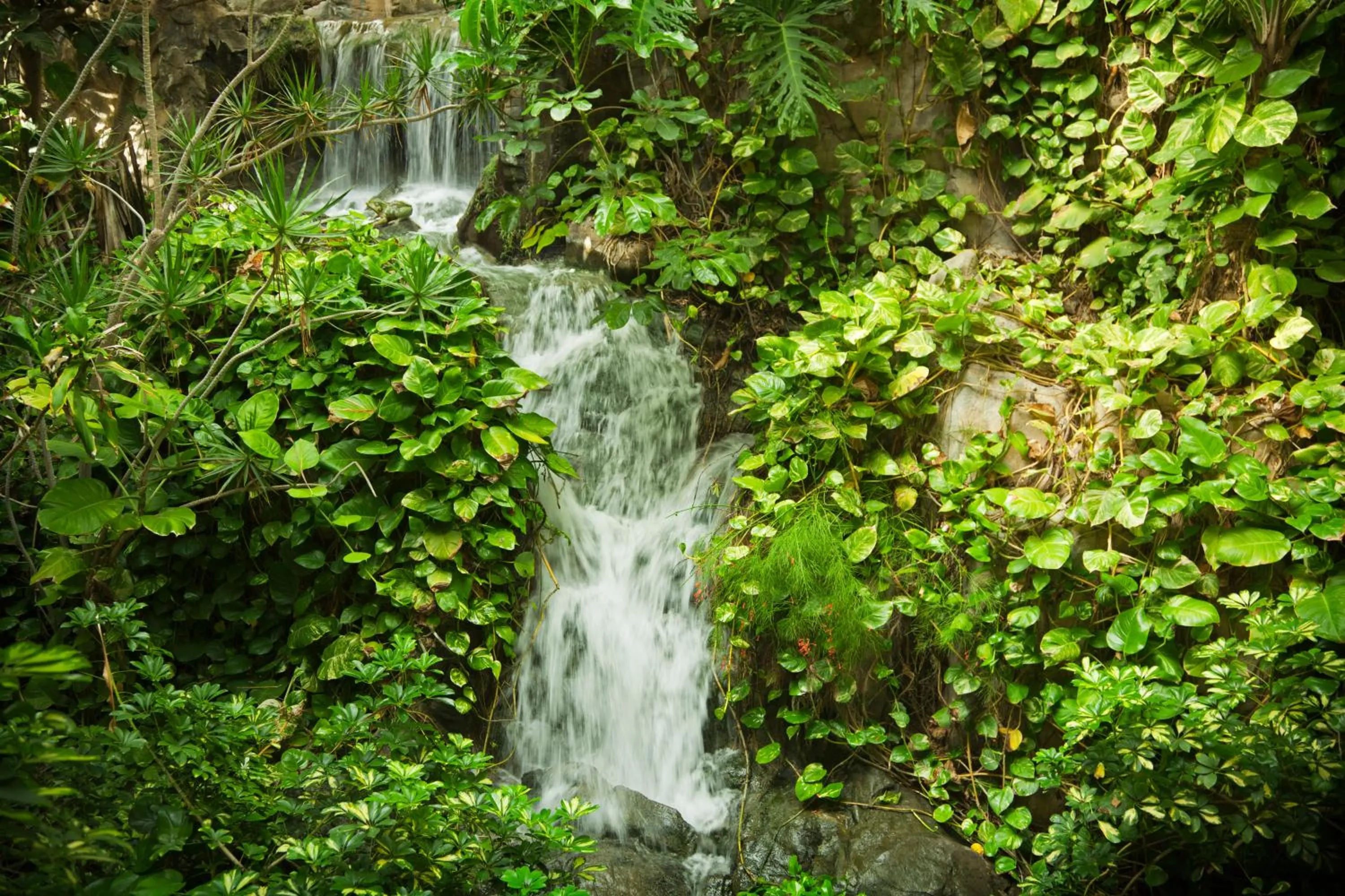 Other in Adrián Hoteles Jardines de Nivaria