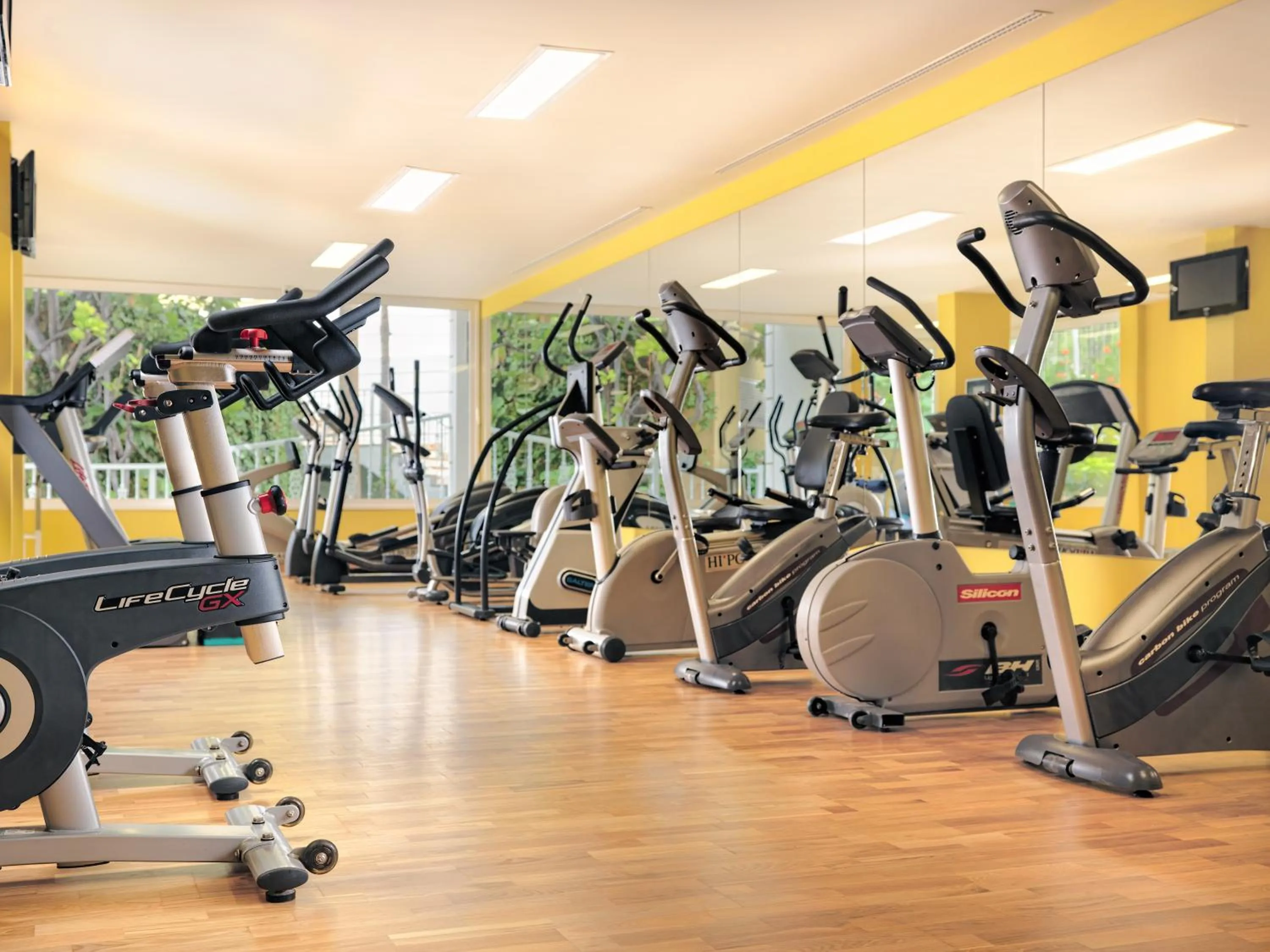 Fitness centre/facilities in Adrián Hoteles Jardines de Nivaria