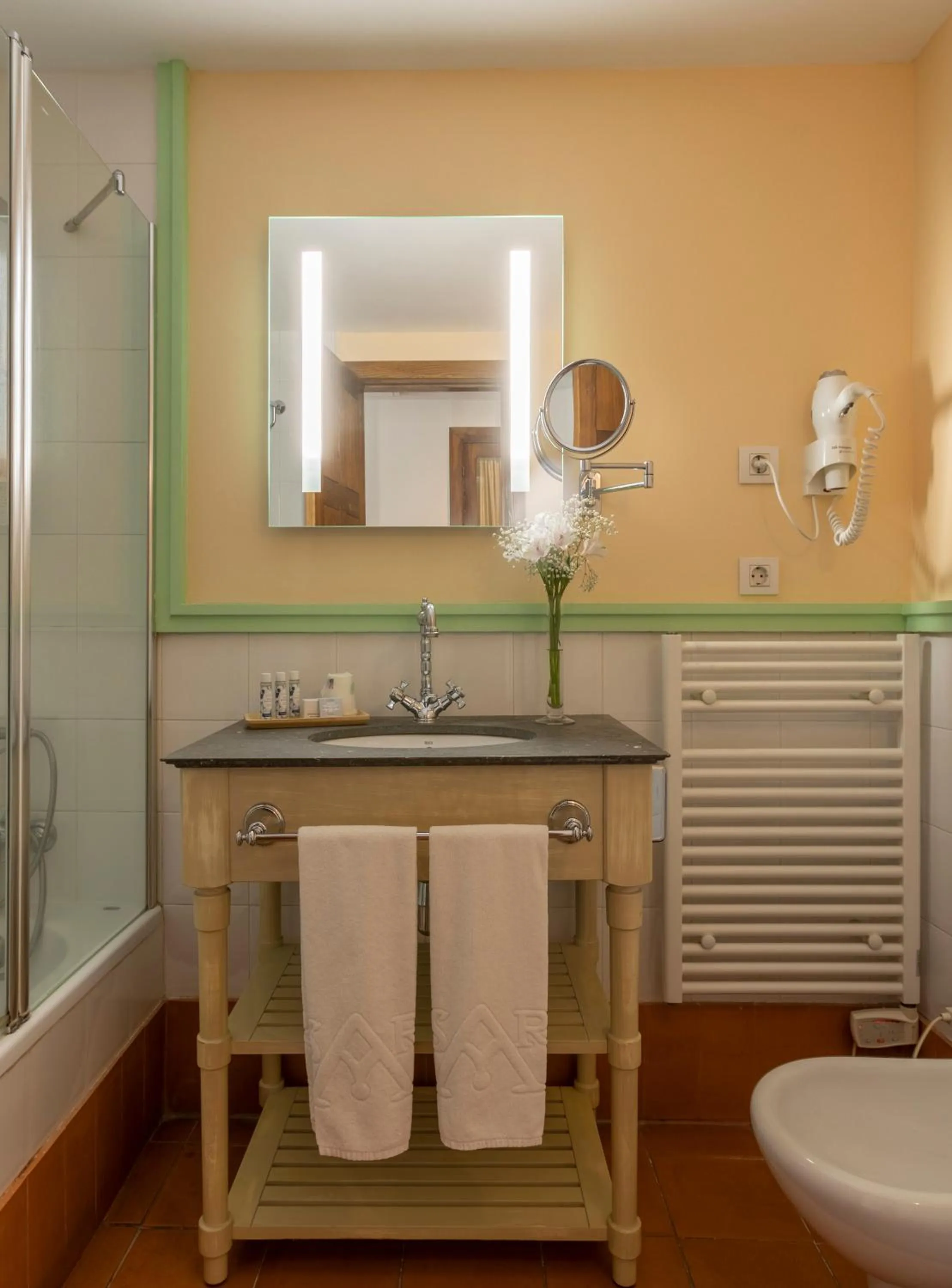 Toilet in Hotel San Antonio el Real