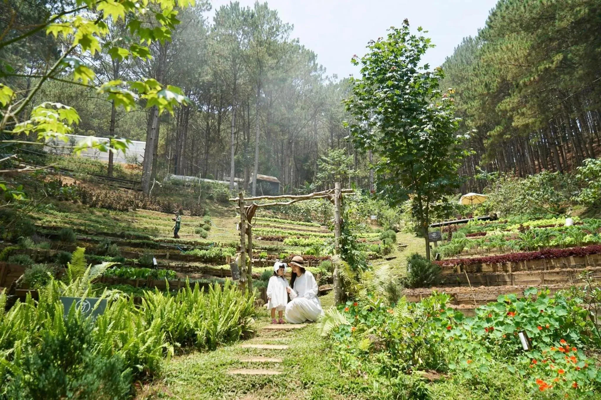 Garden in Mơ Stay - Forest Resort