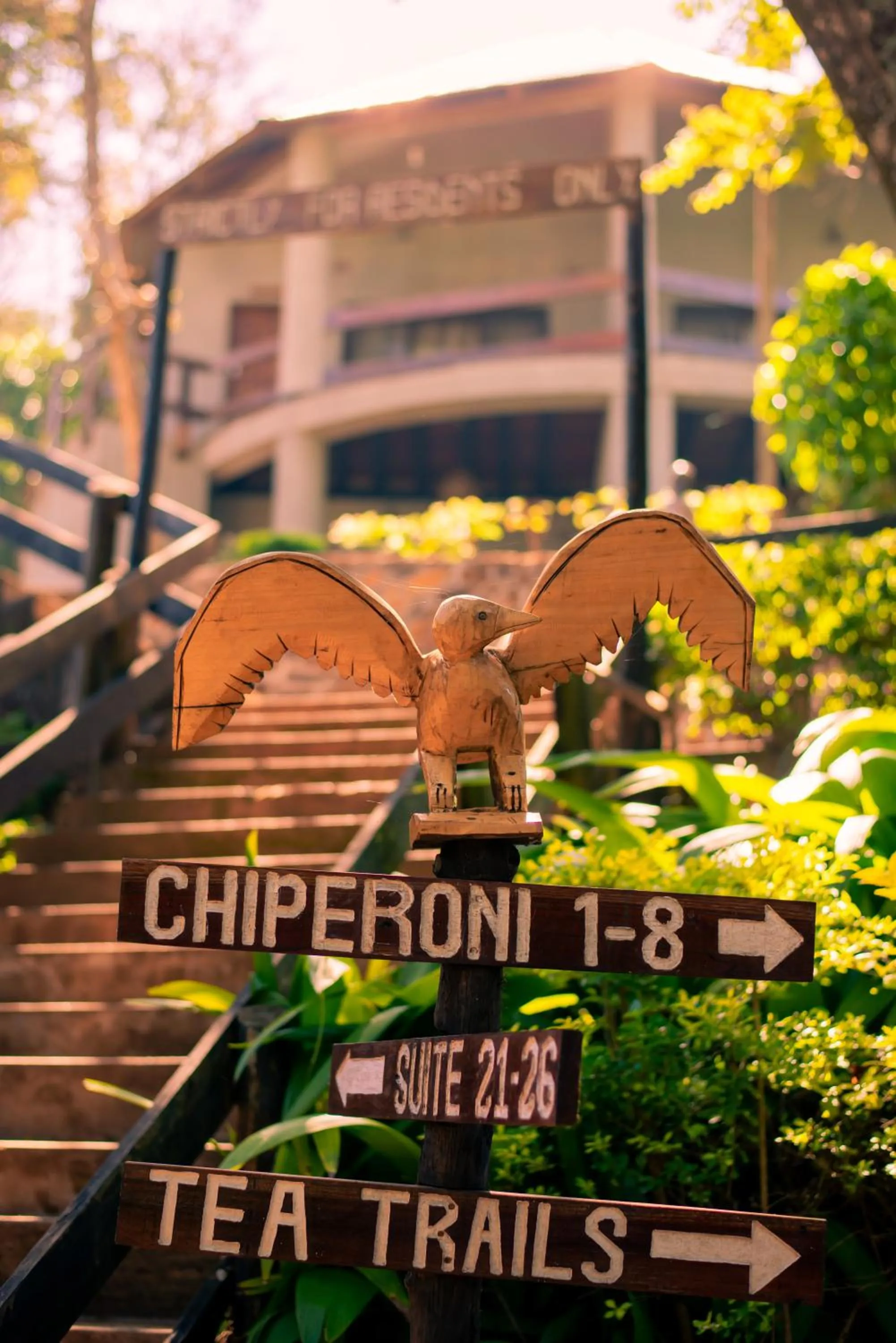 Day in Kara O Mula Mulanje