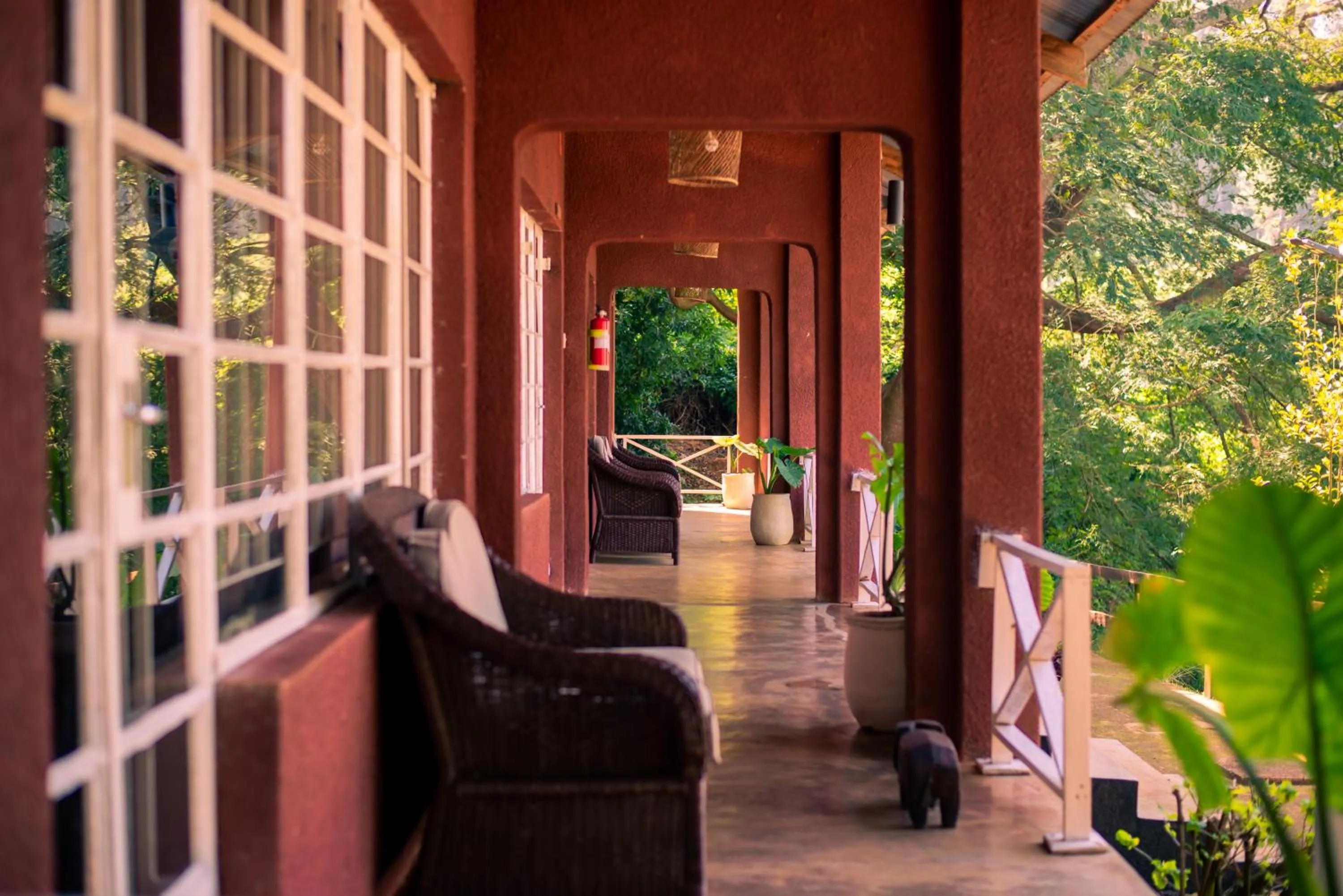 Patio in Kara O Mula Mulanje