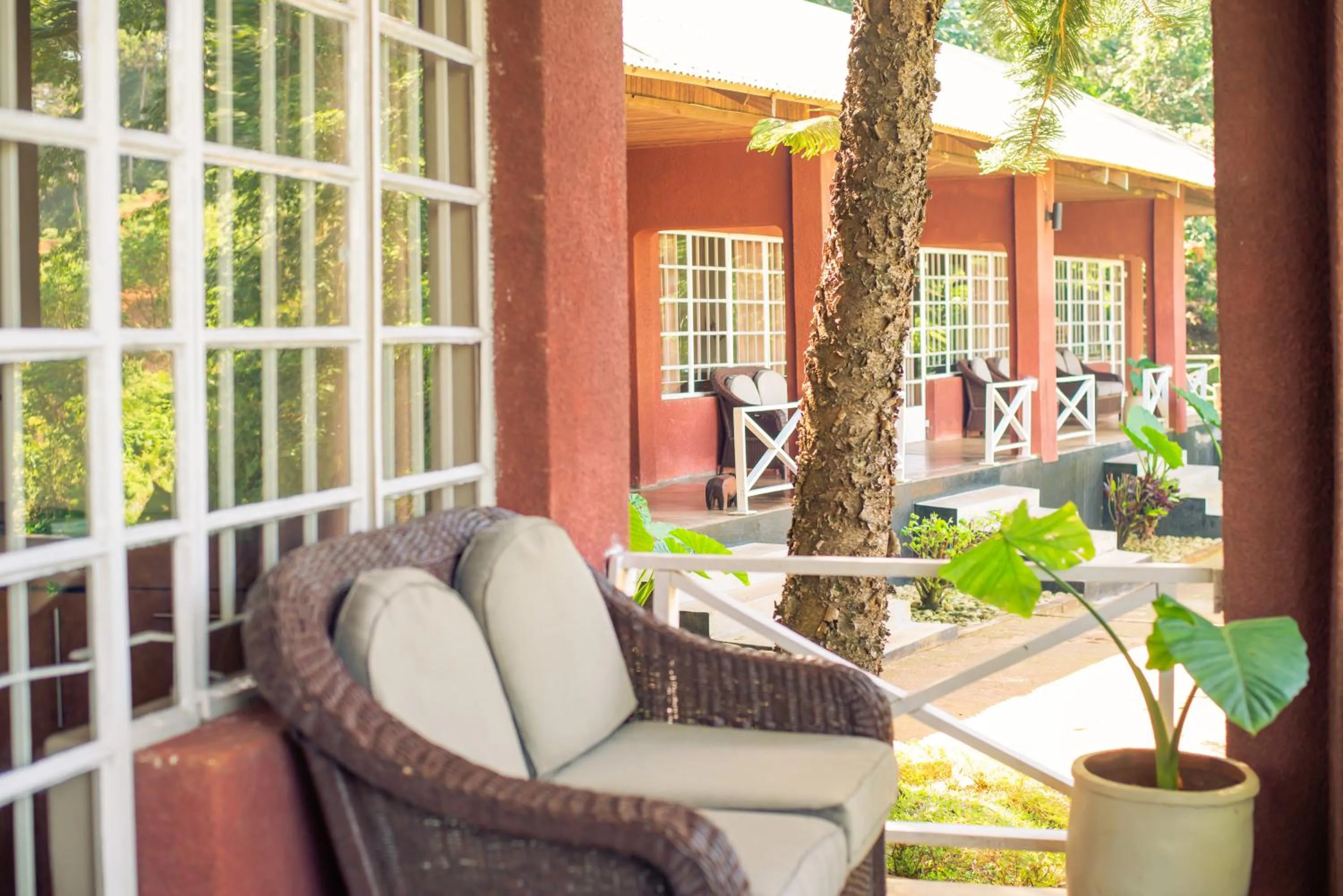 Patio in Kara O Mula Mulanje