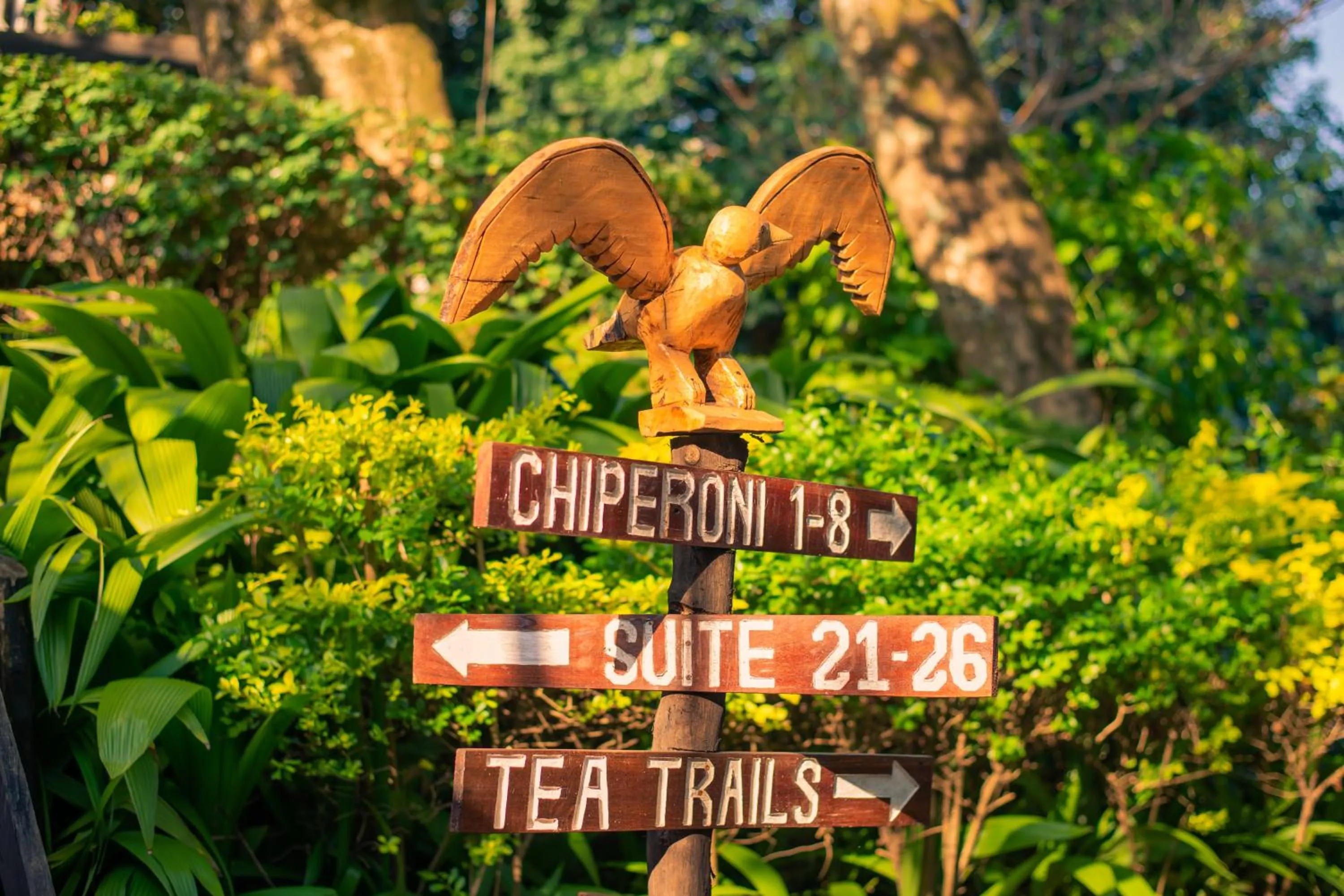 Property logo or sign in Kara O Mula Mulanje