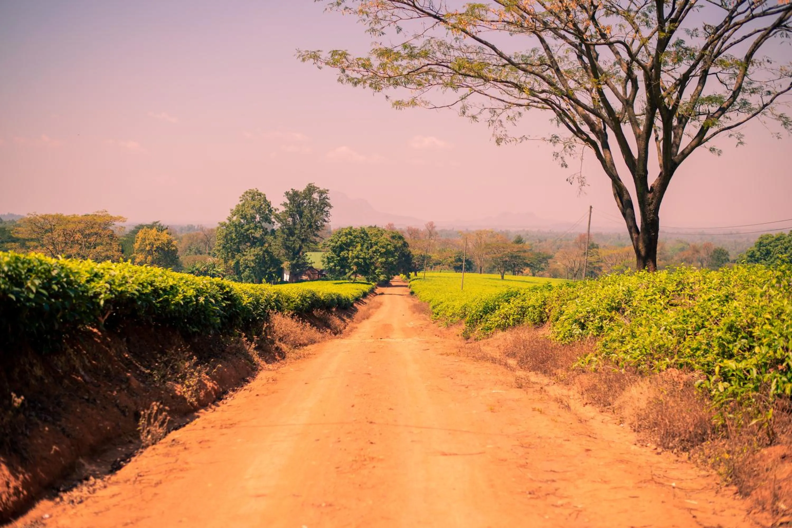 Day in Kara O Mula Mulanje