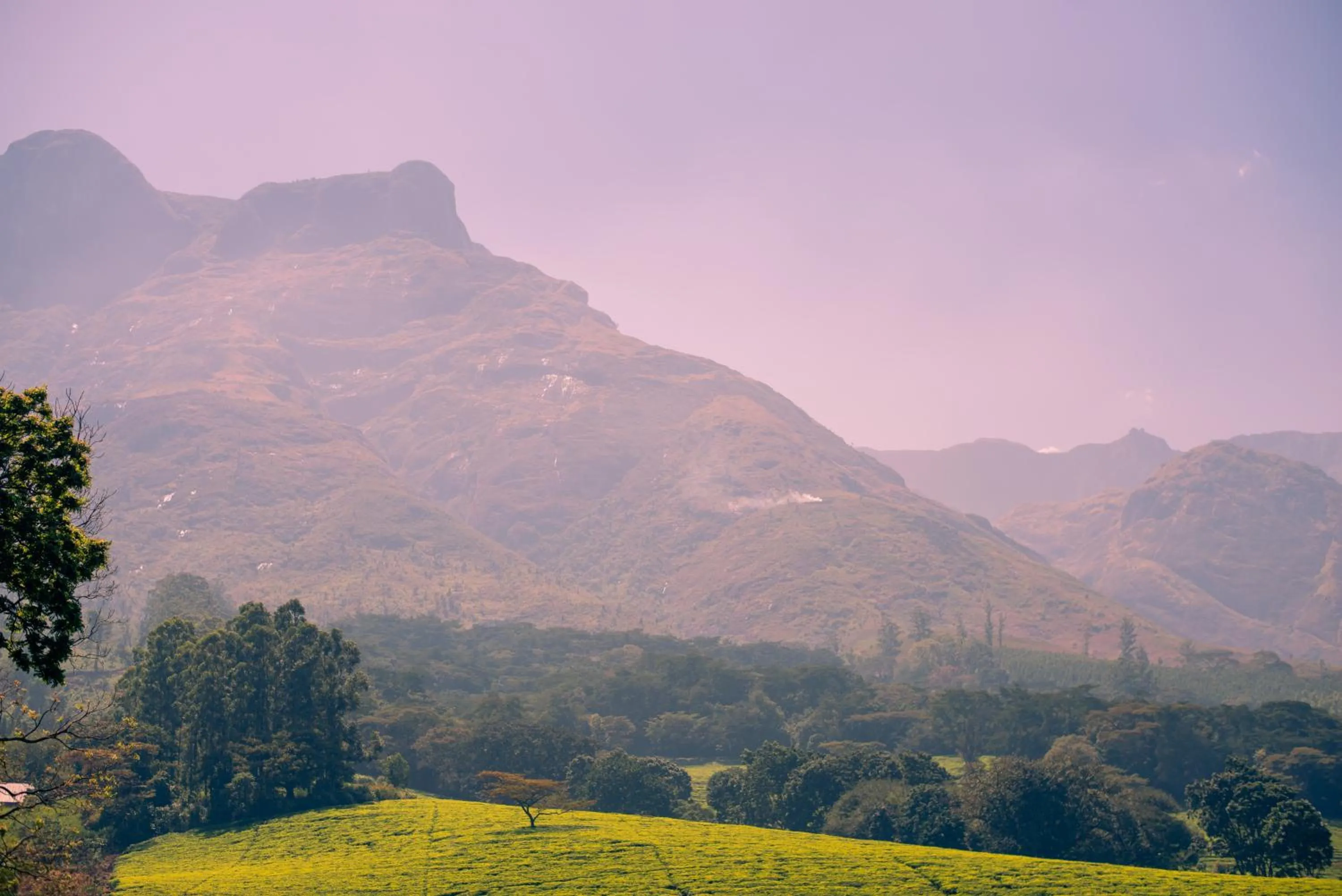 Day in Kara O Mula Mulanje