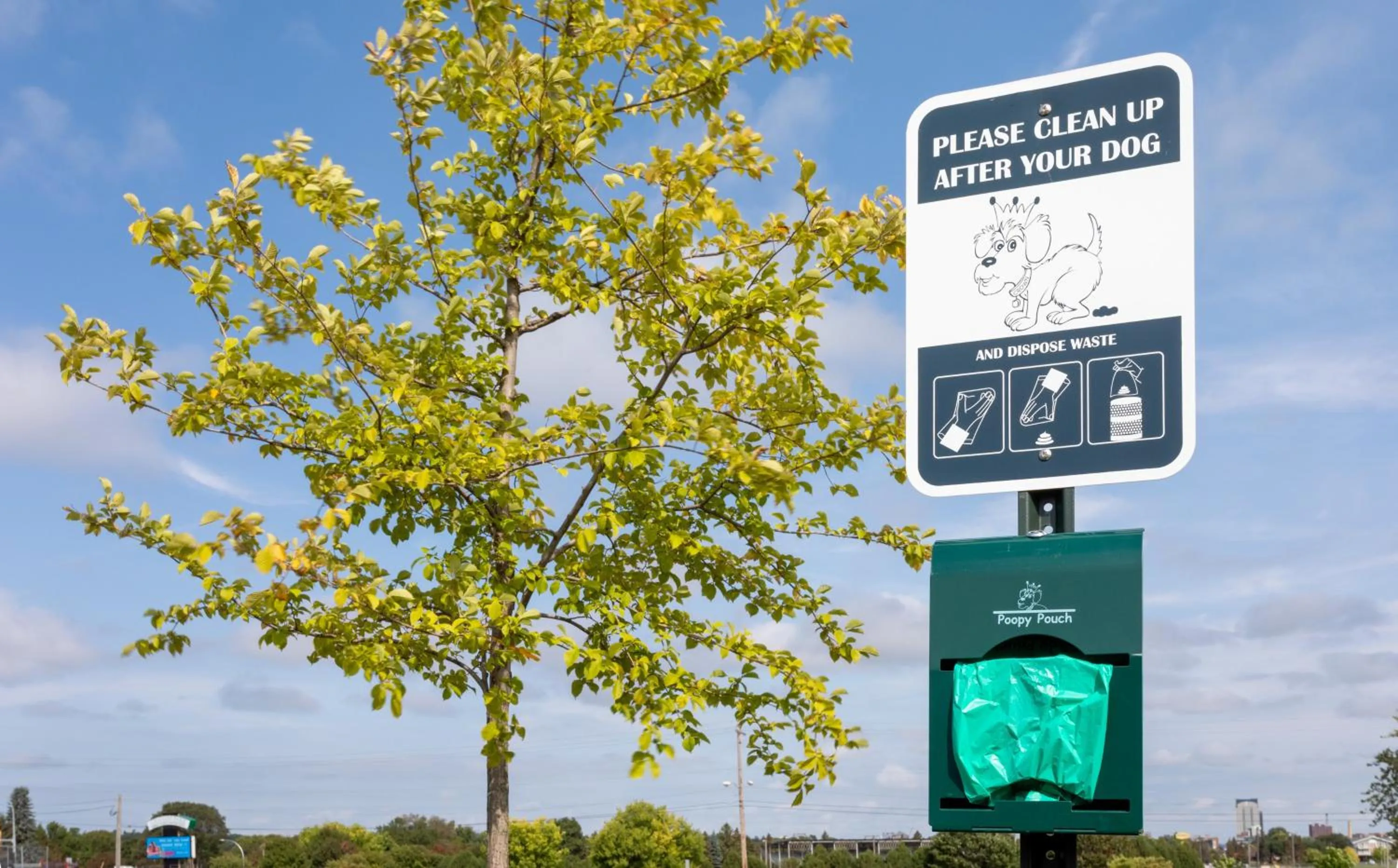 Other in Candlewood Suites - Rochester Mayo Clinic Area