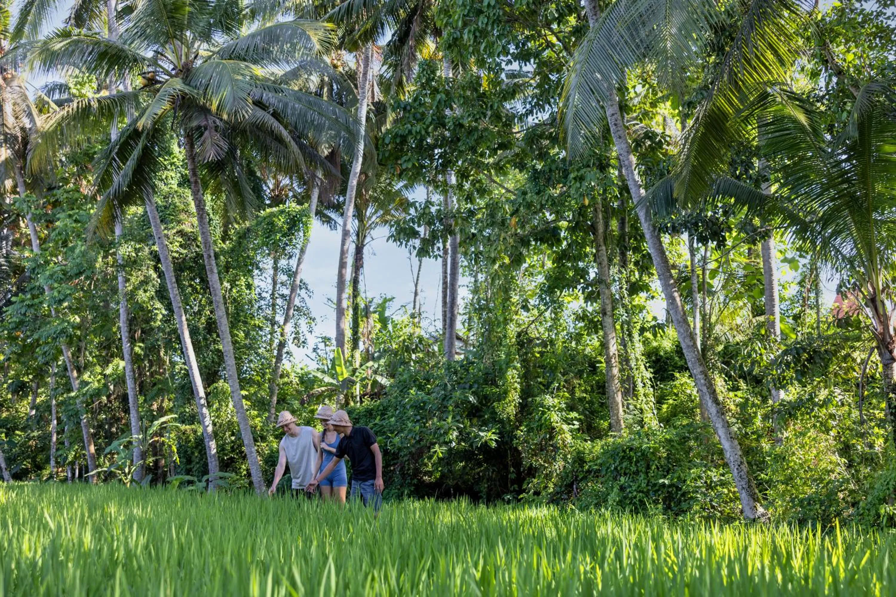 Activities in Kanhara Villas Ubud by GenuineHost