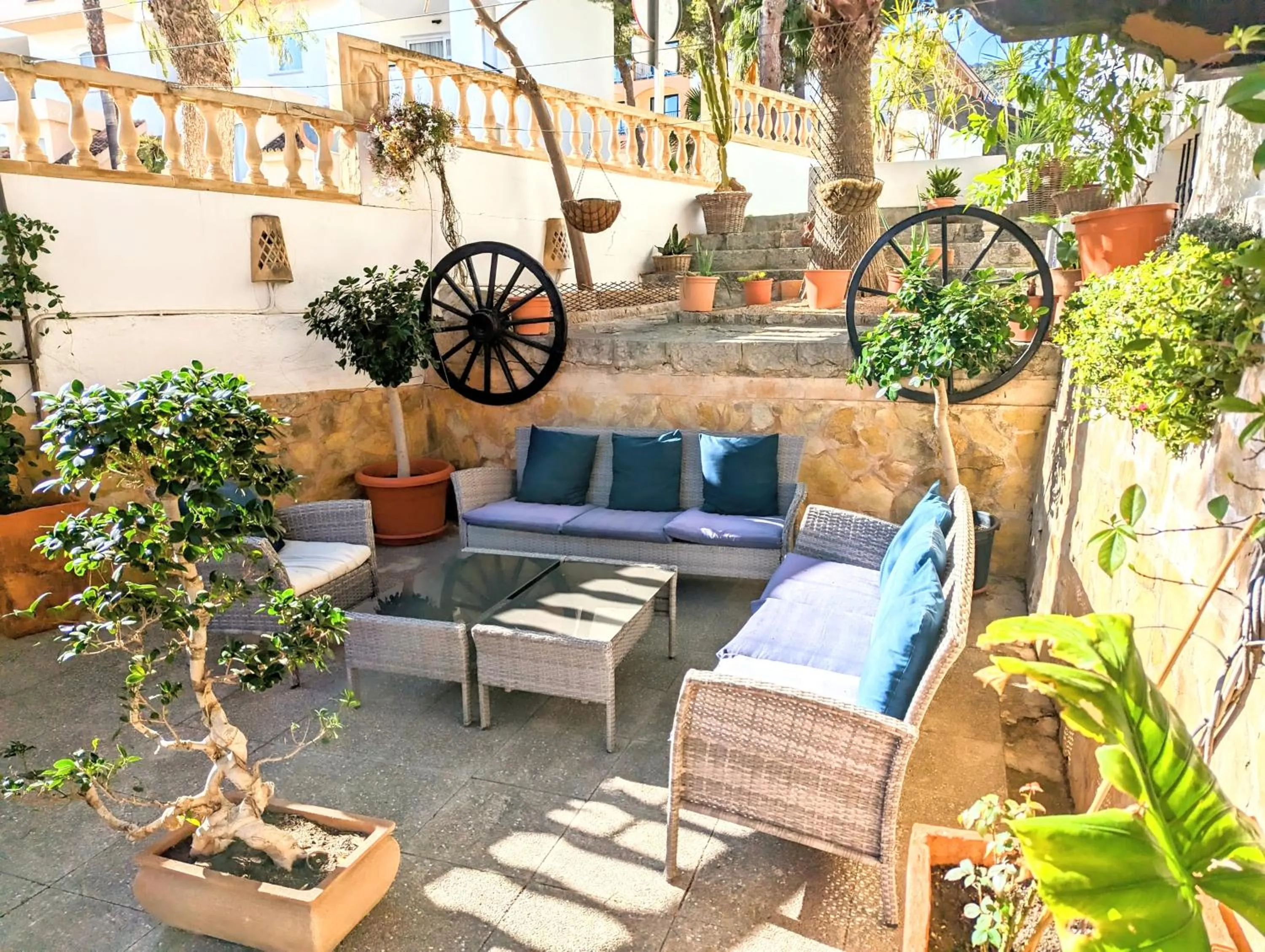 Property building in Don Carlos