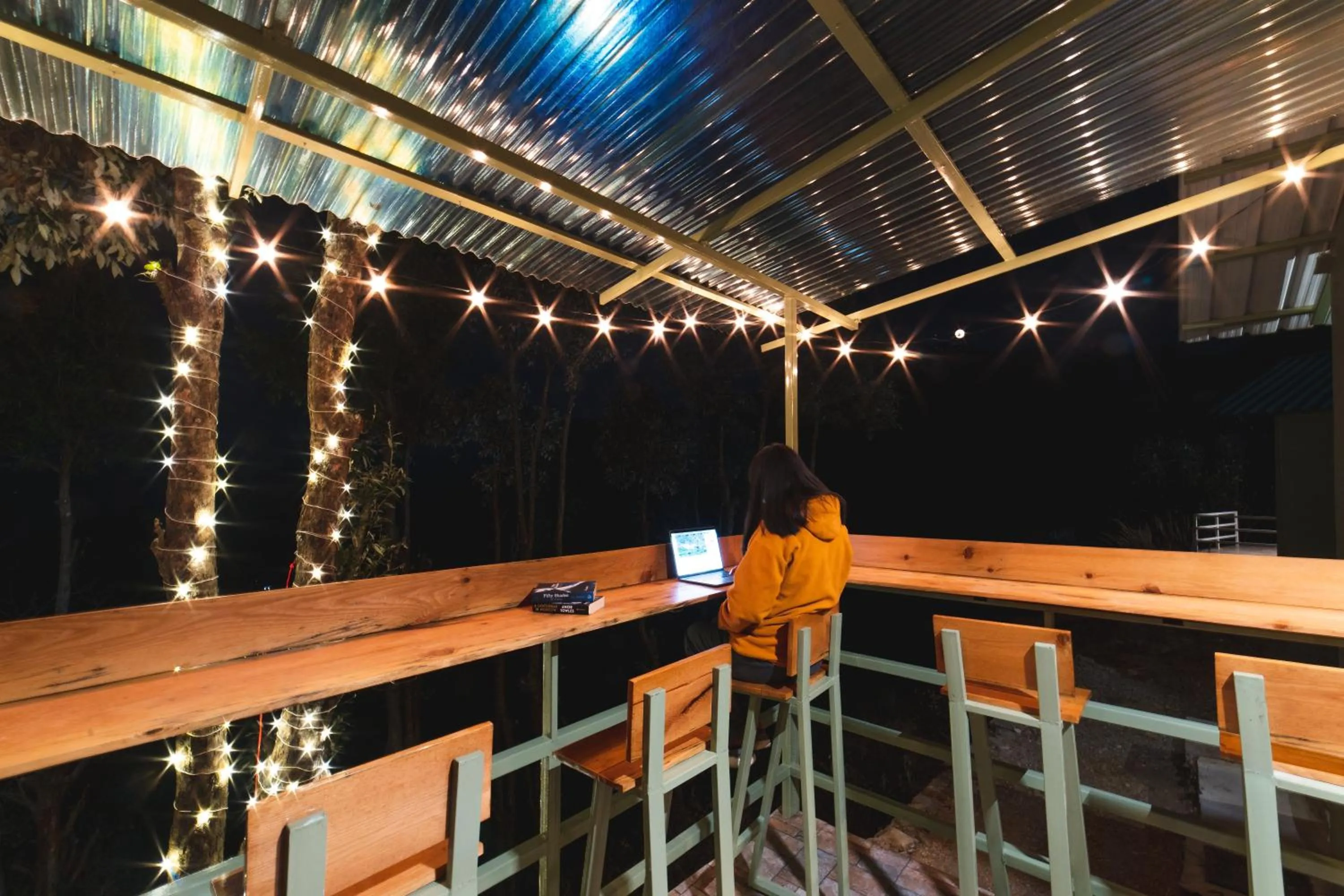 Night in Zostel Plus Nainital (Naina Range)