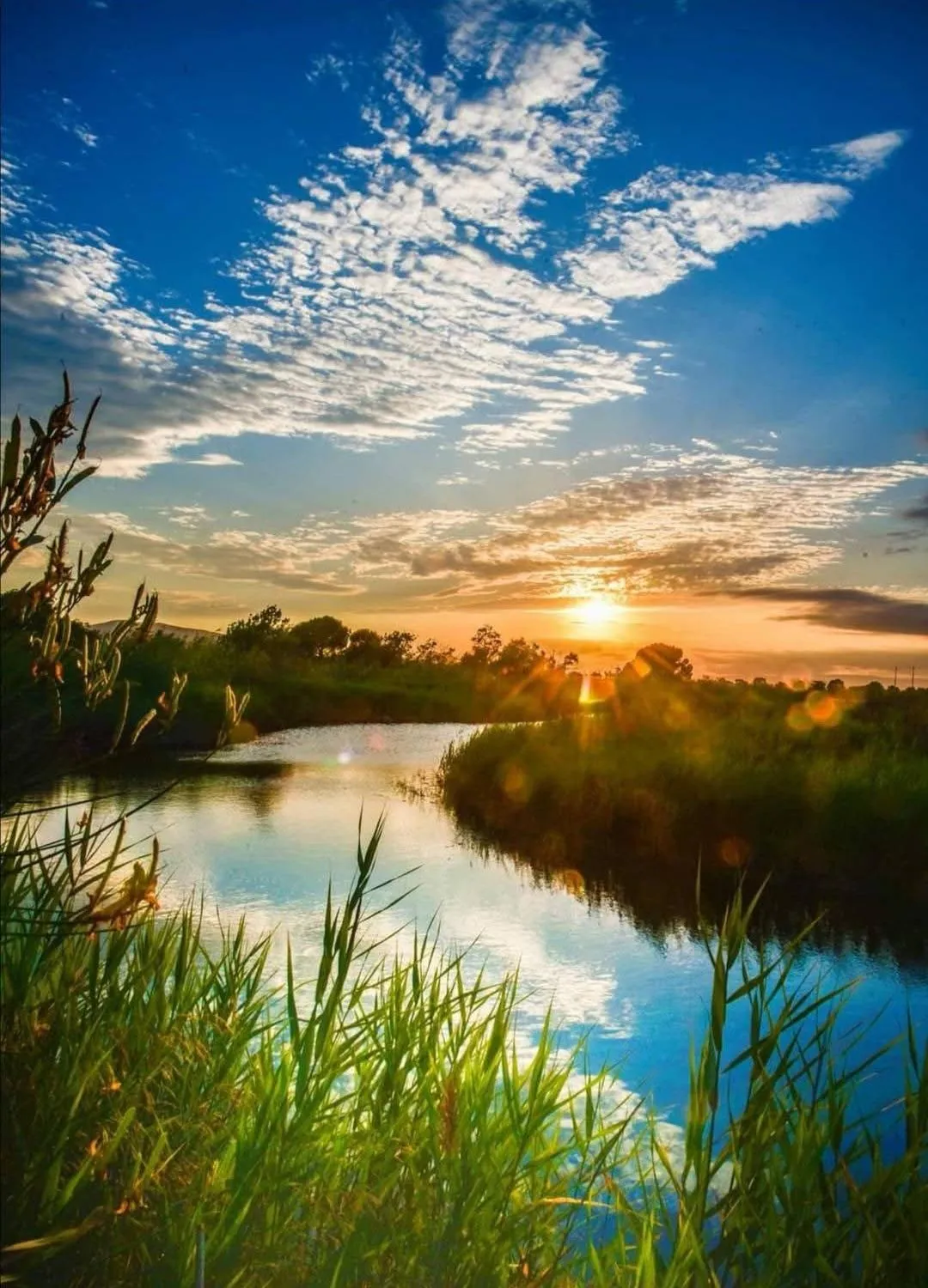 Natural landscape in Le Cosy