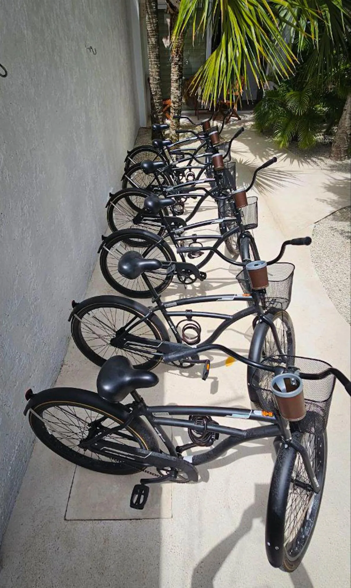 Cycling in SAYU - Suites