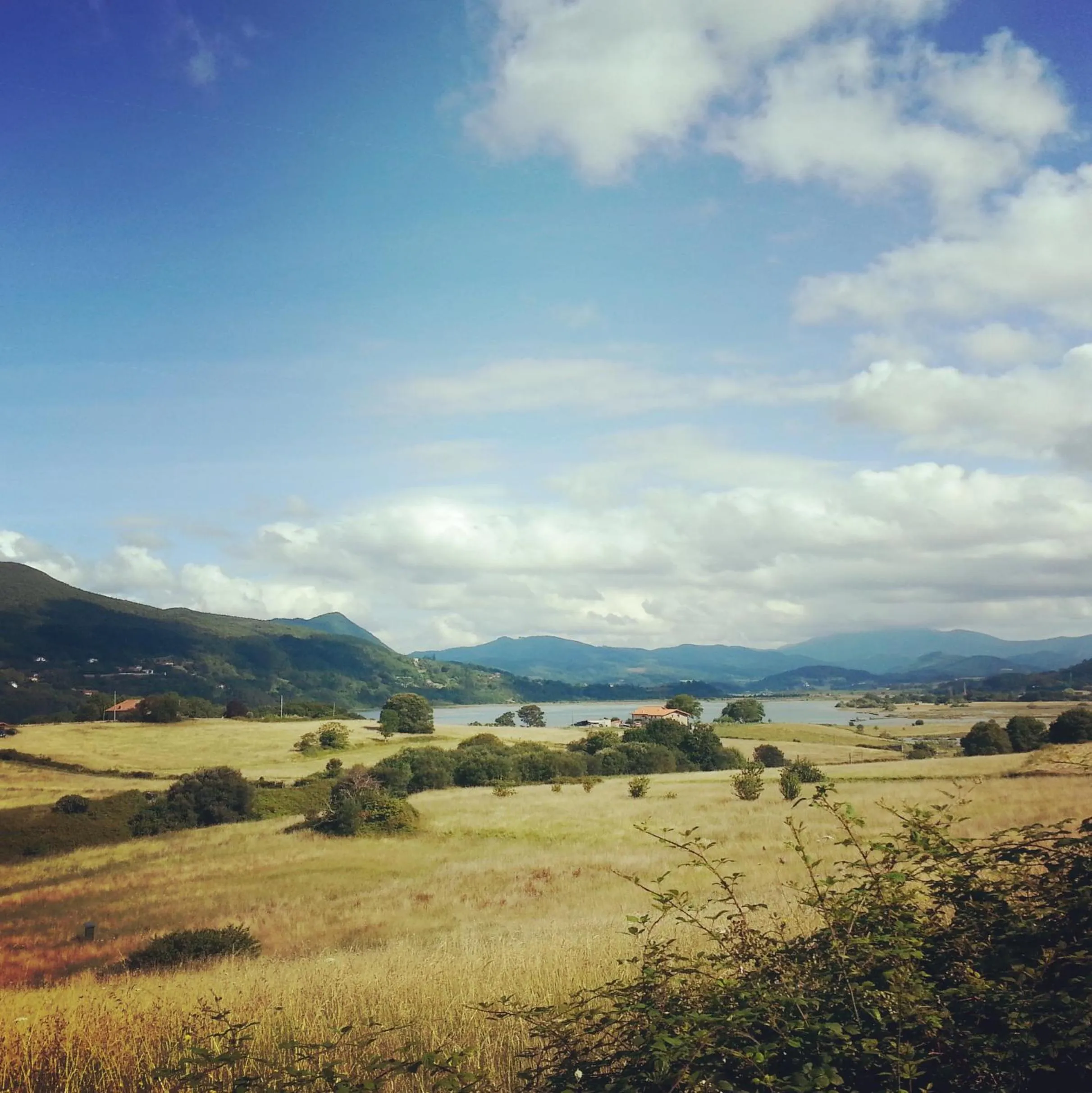 Neighbourhood in Hotel Ibaigune