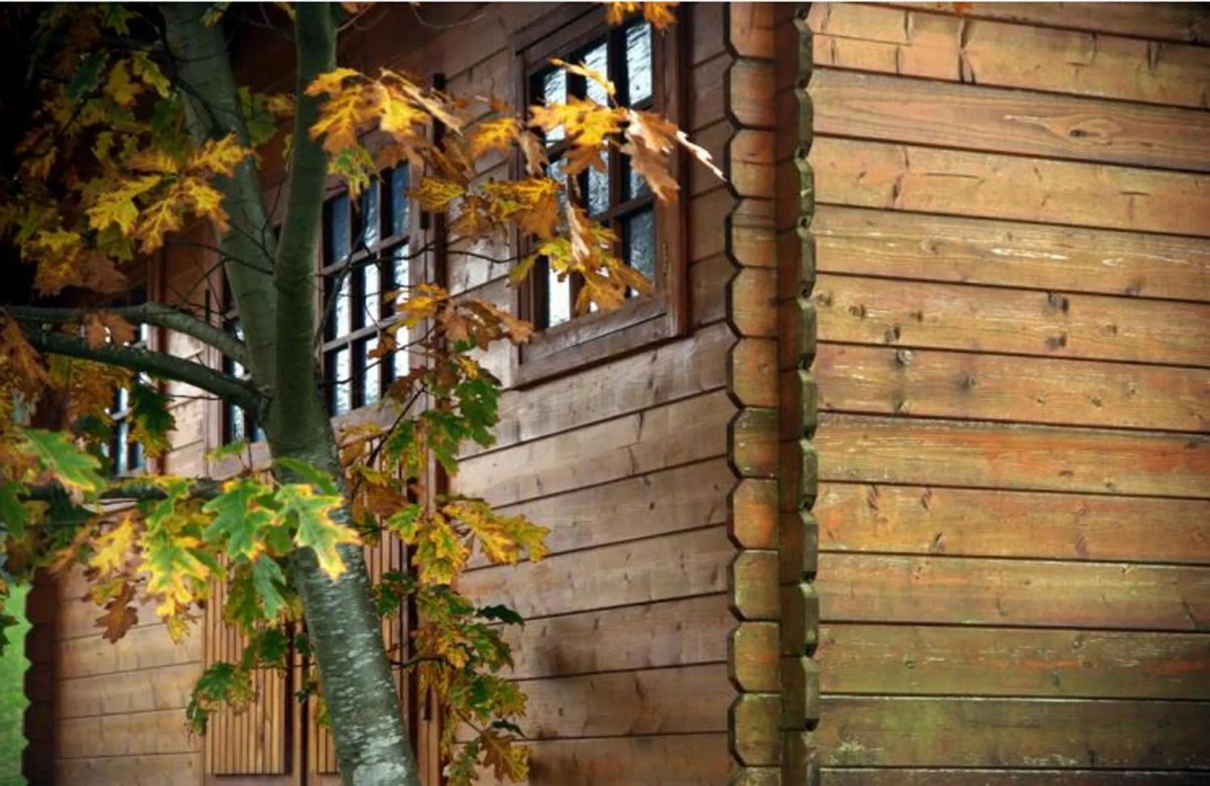 Other in Hotel Ibaigune