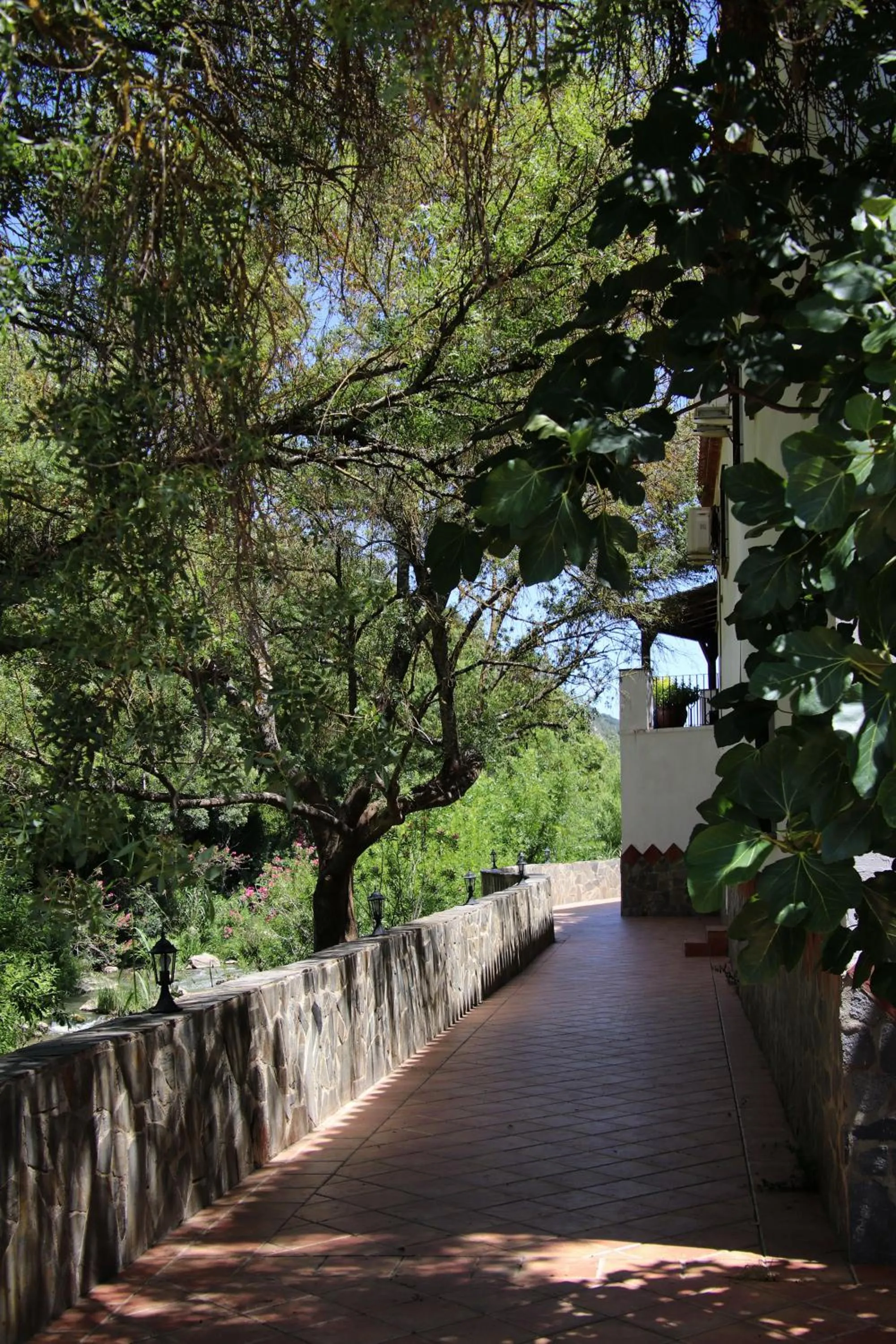 Balcony/Terrace in Molino Cuatro Paradas