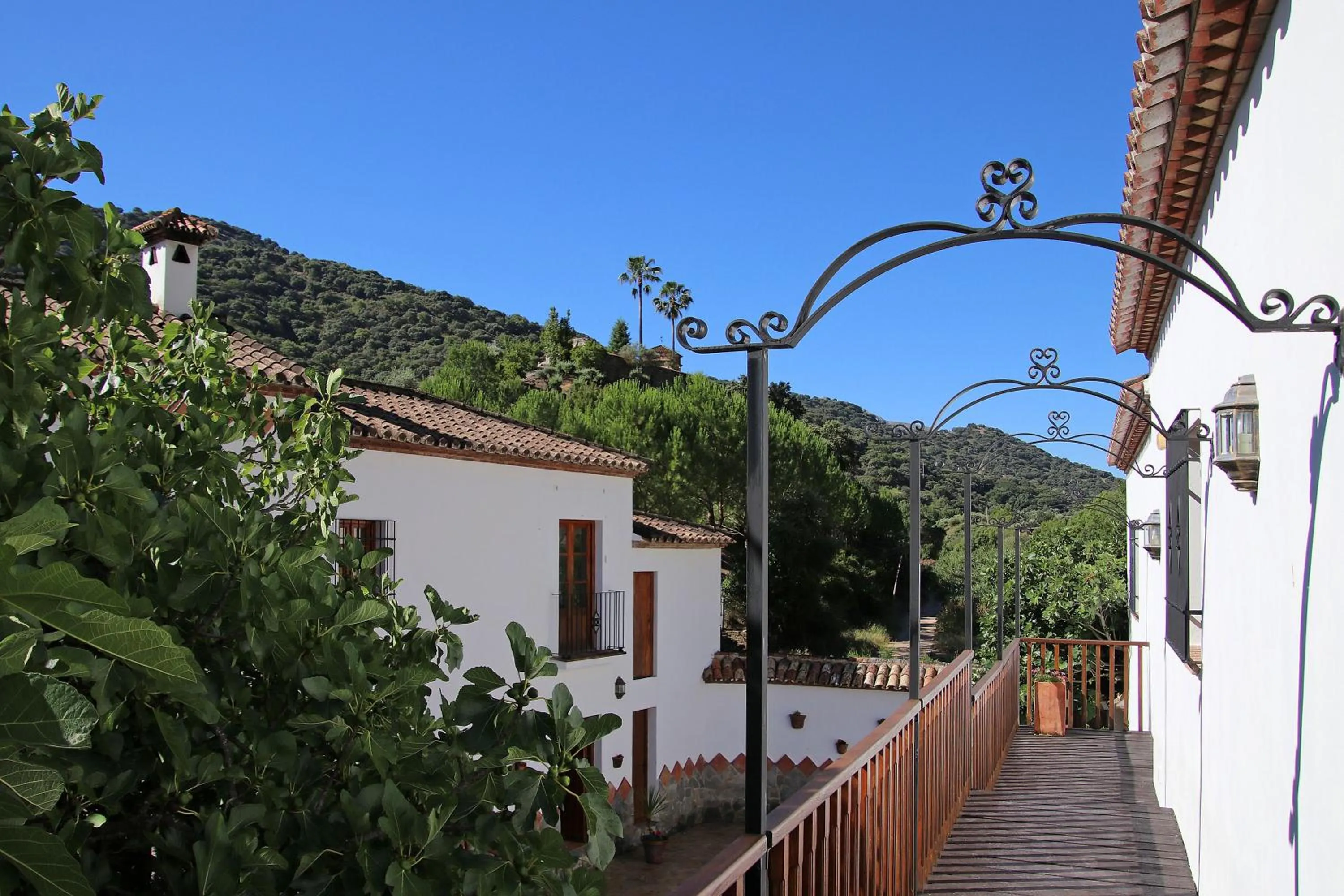 Balcony/Terrace in Molino Cuatro Paradas