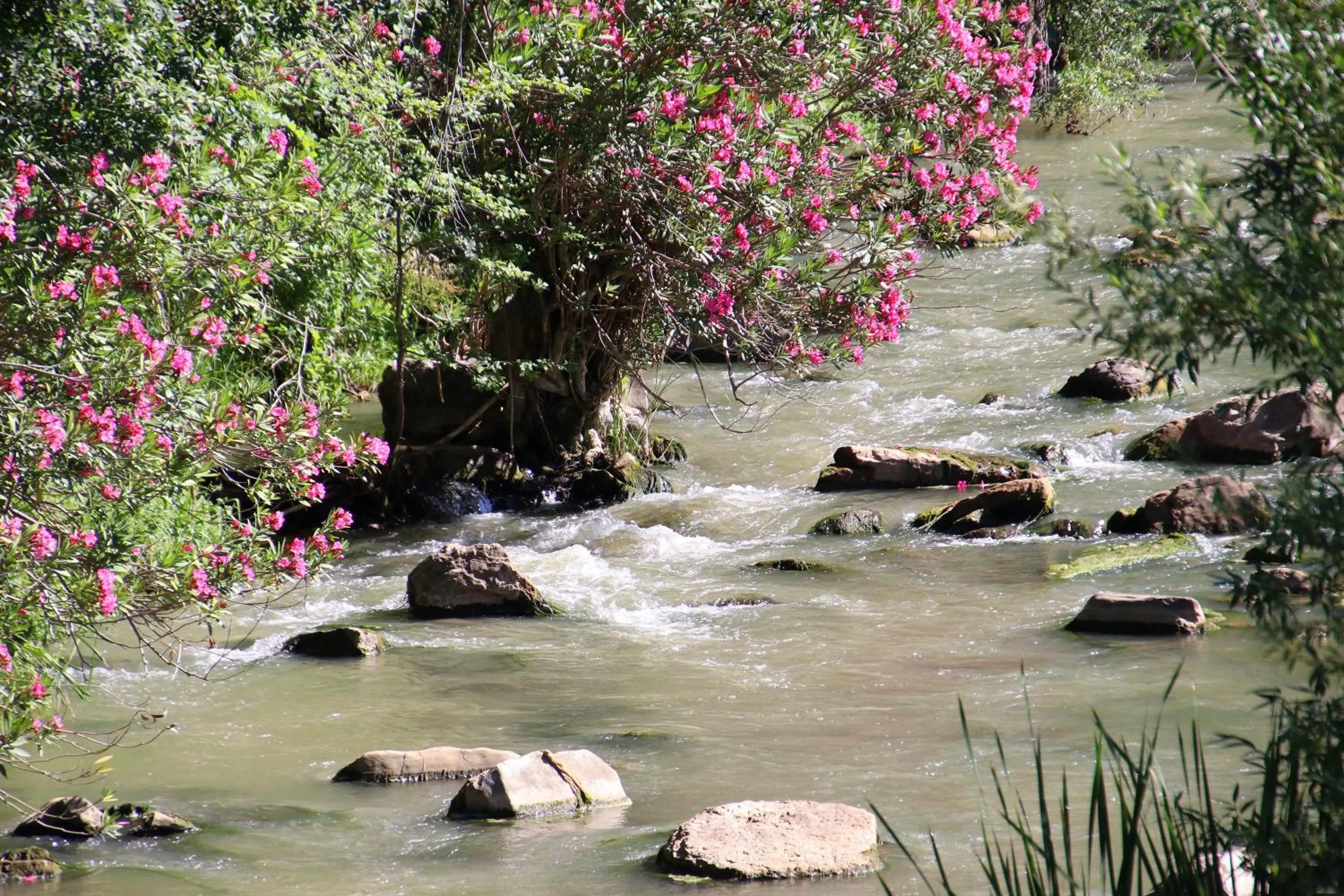 River view in Molino Cuatro Paradas