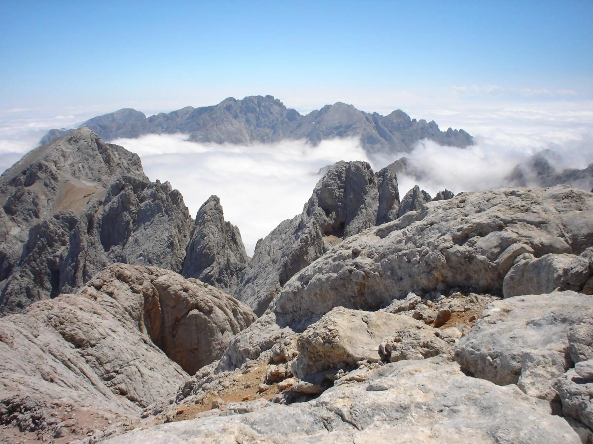 Natural landscape in Hotel Picos de Europa