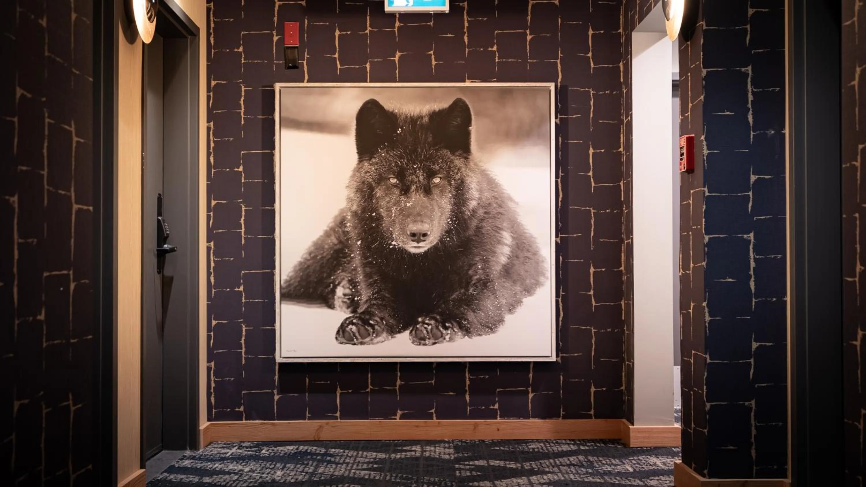 Lobby or reception in Everwild Canmore Hotel