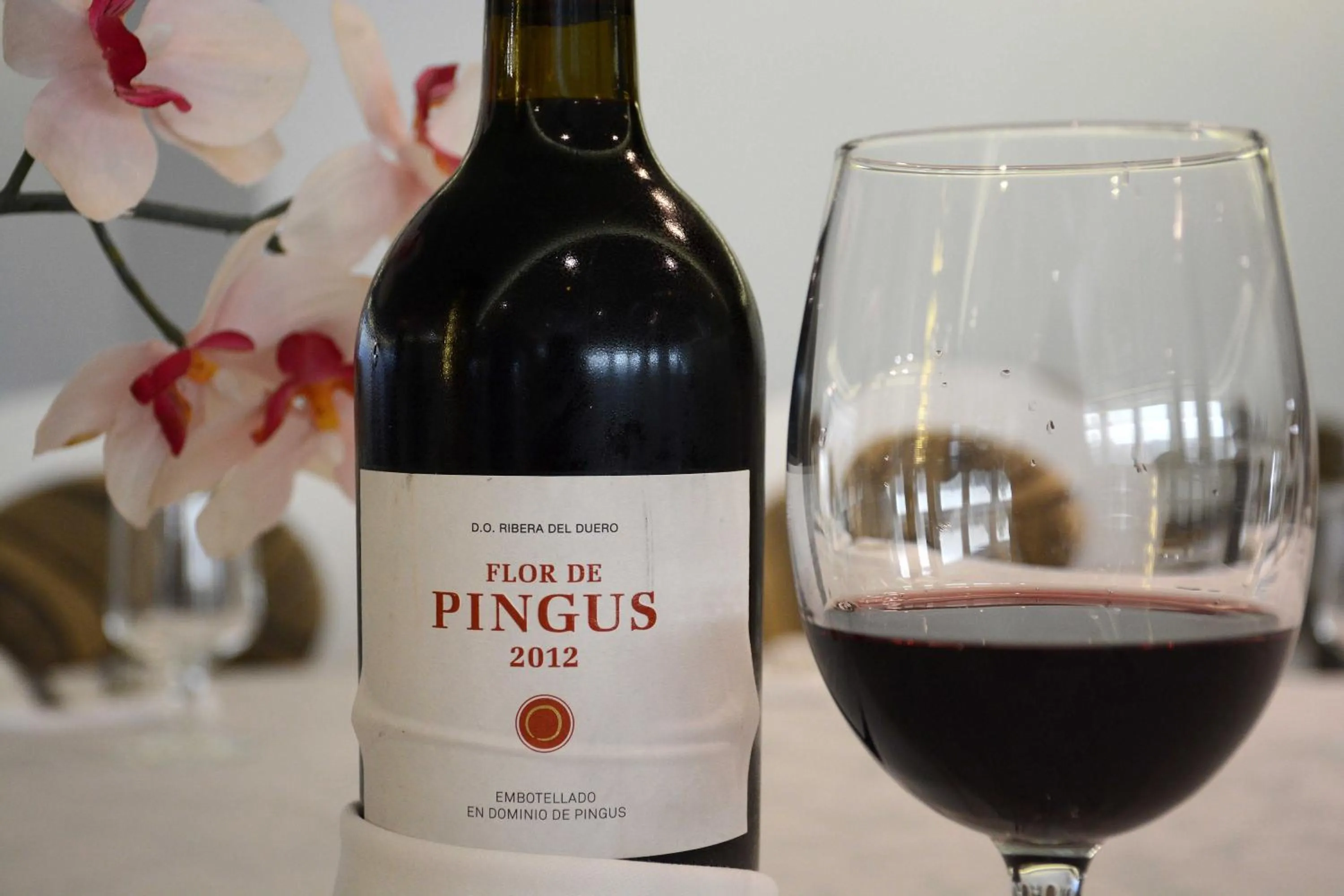 Activities in Don Angel & SPA & Padel- Adults Recommended