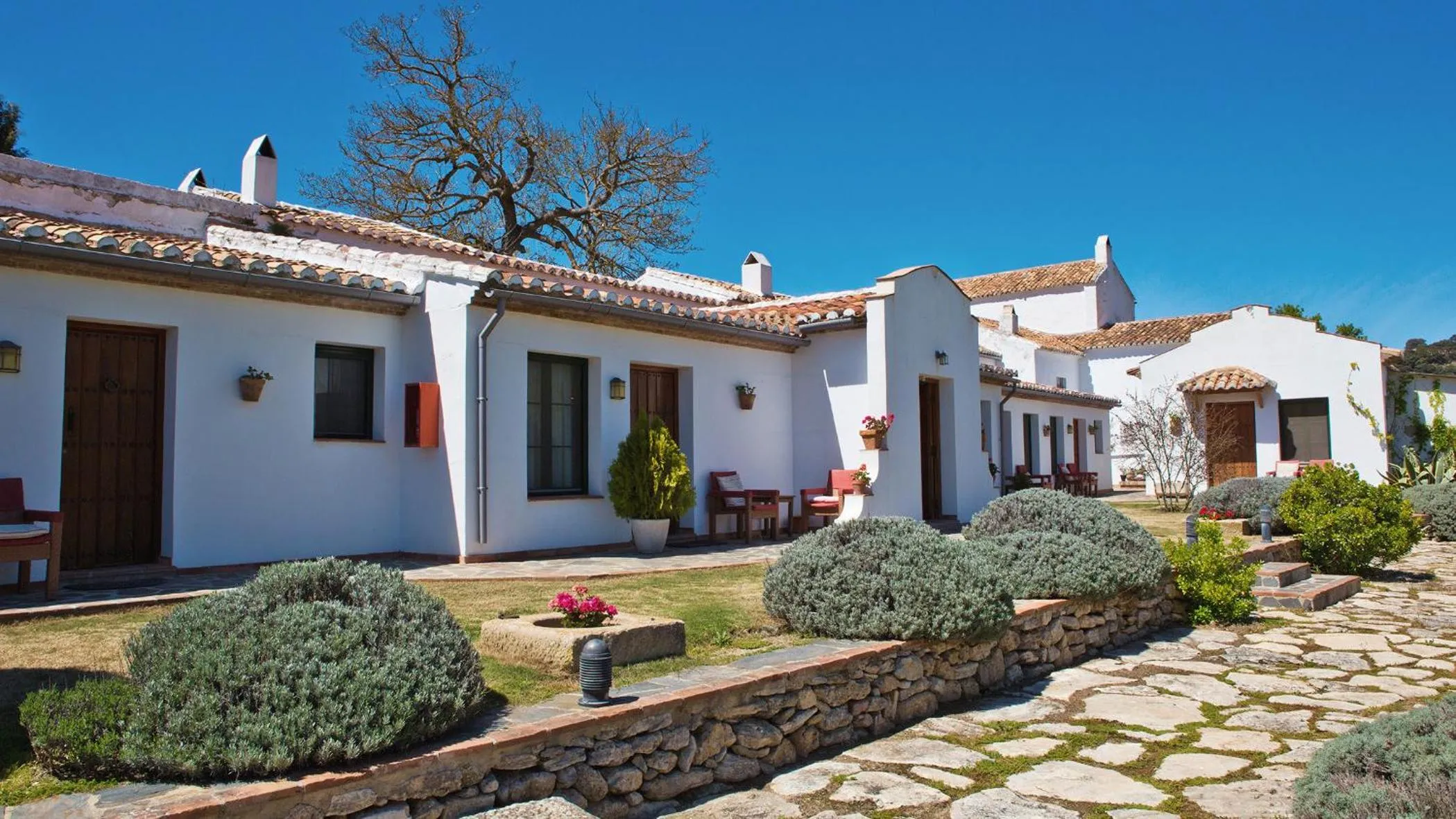 Garden in Hotel Cortijo Las Piletas
