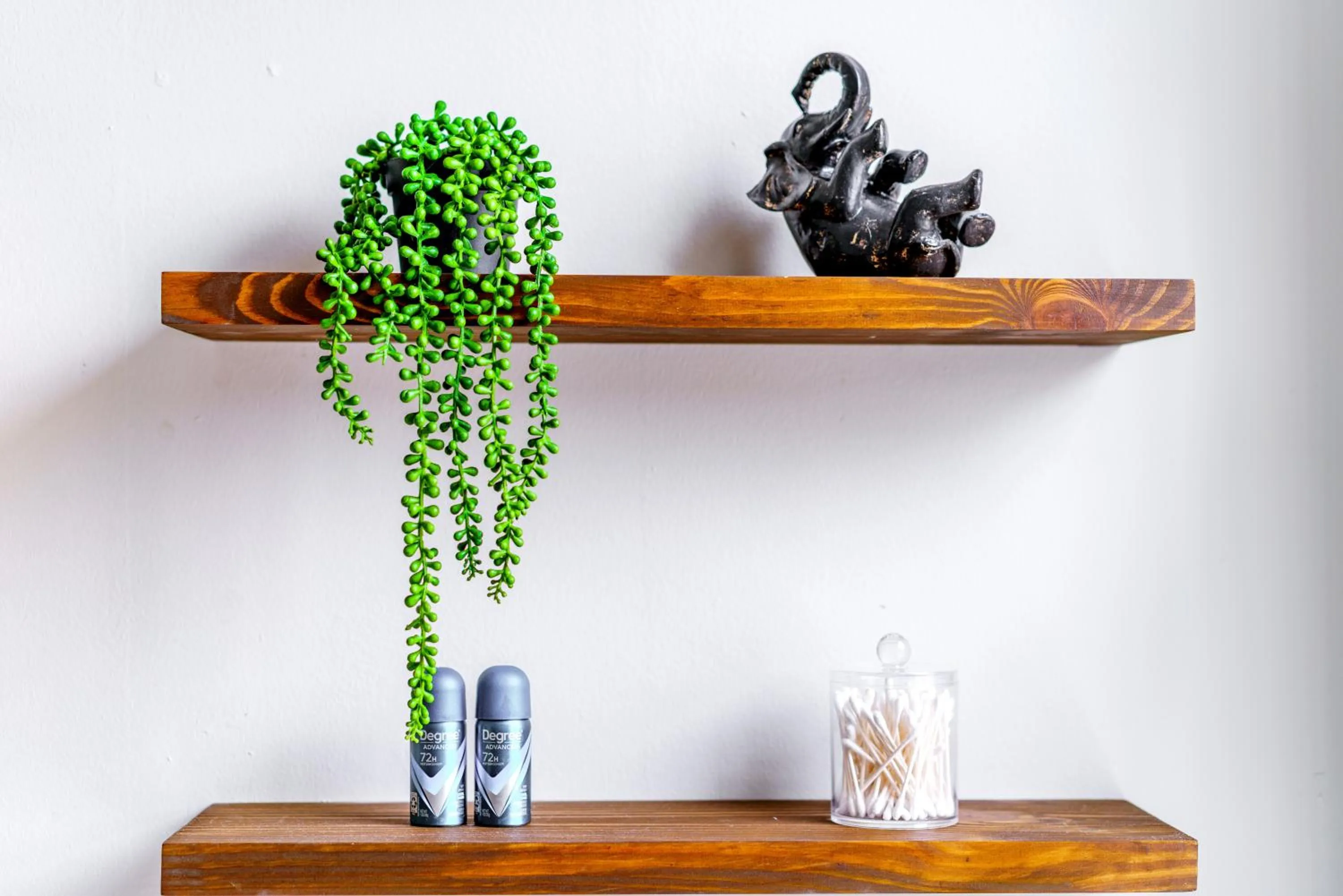 Jungle House Luxury Stays - Downtown Chillicothe