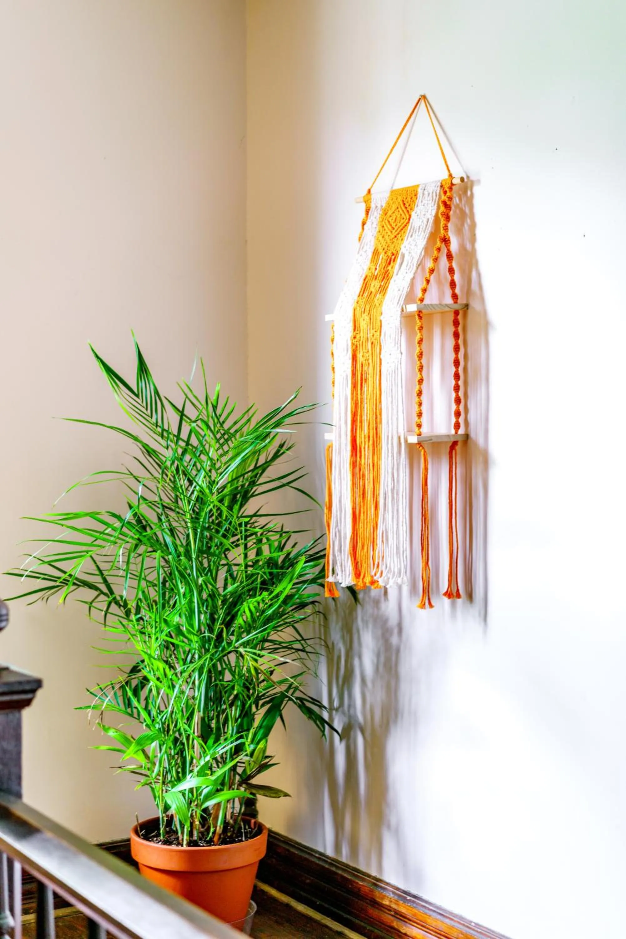 Jungle House Luxury Stays - Downtown Chillicothe