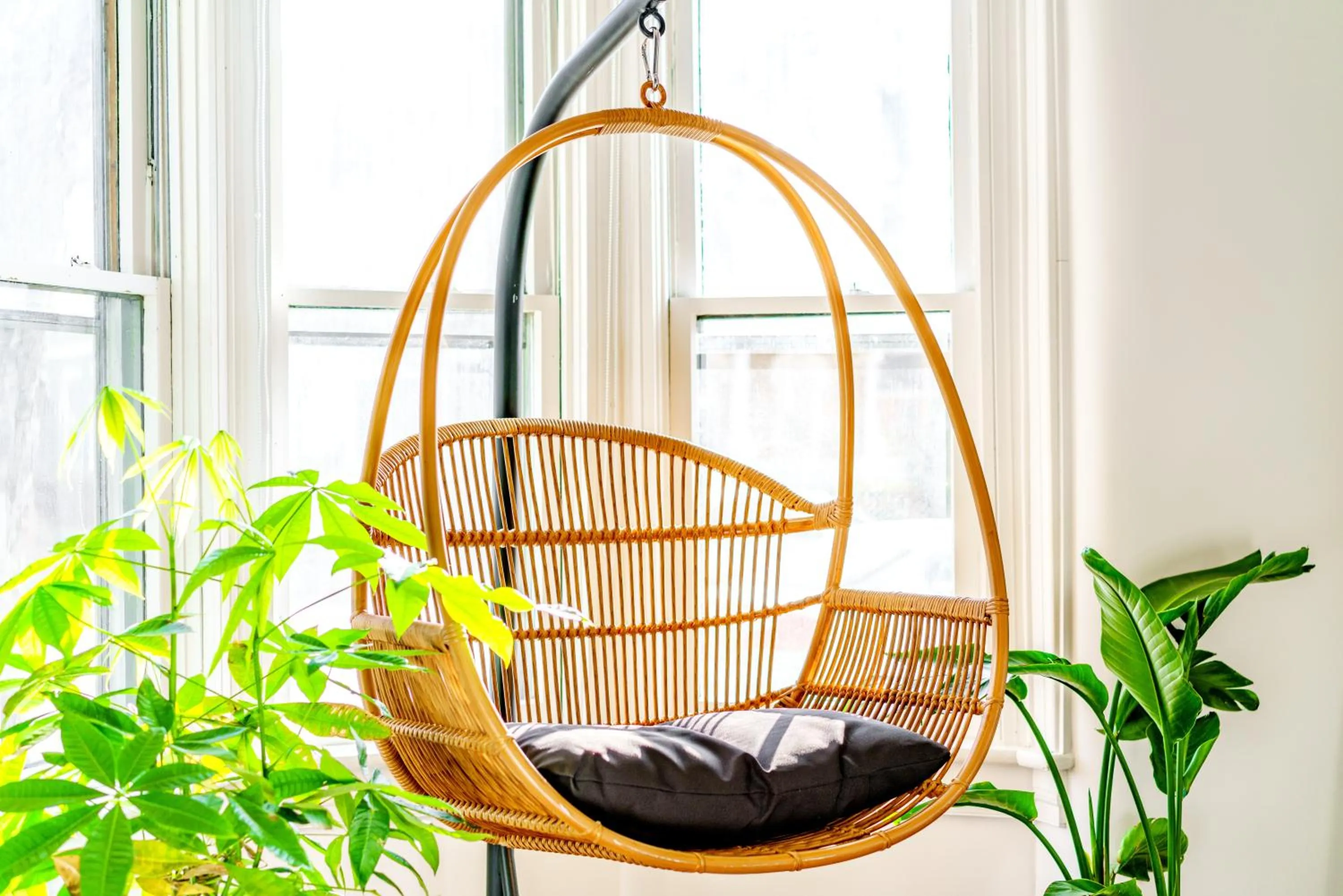 Jungle House Luxury Stays - Downtown Chillicothe