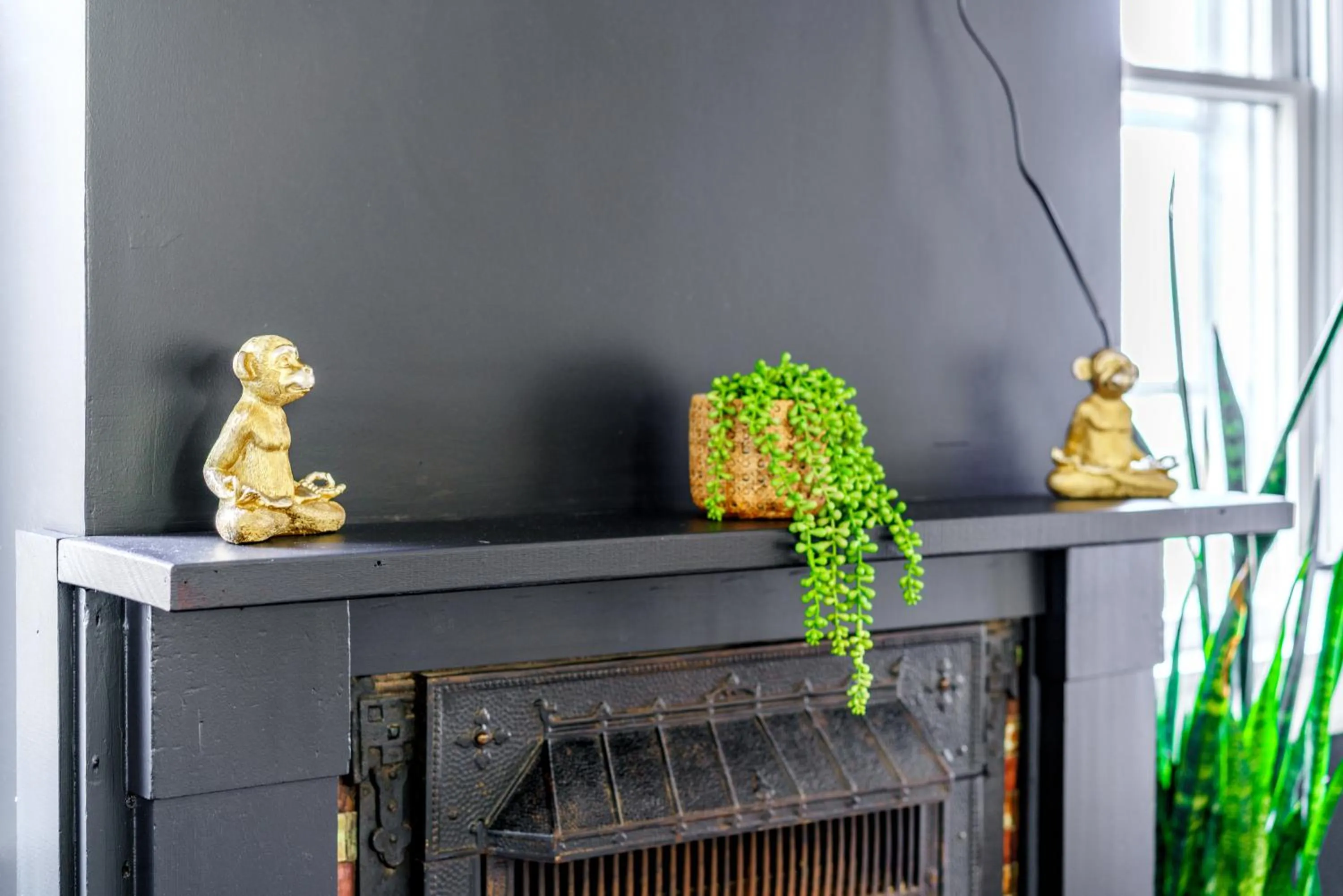 Jungle House Luxury Stays - Downtown Chillicothe