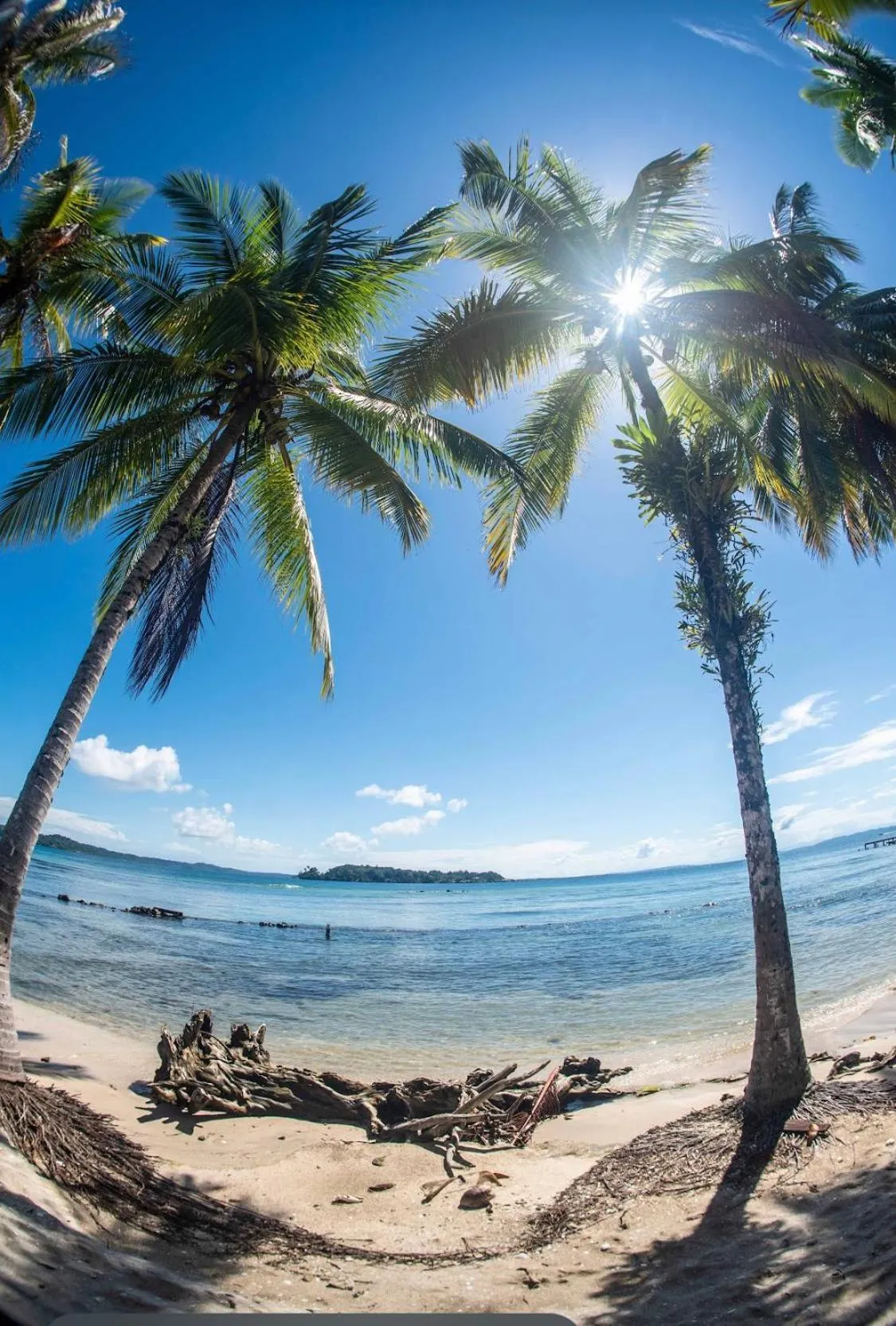 Hotel Tierra Verde Bed and Breakfast