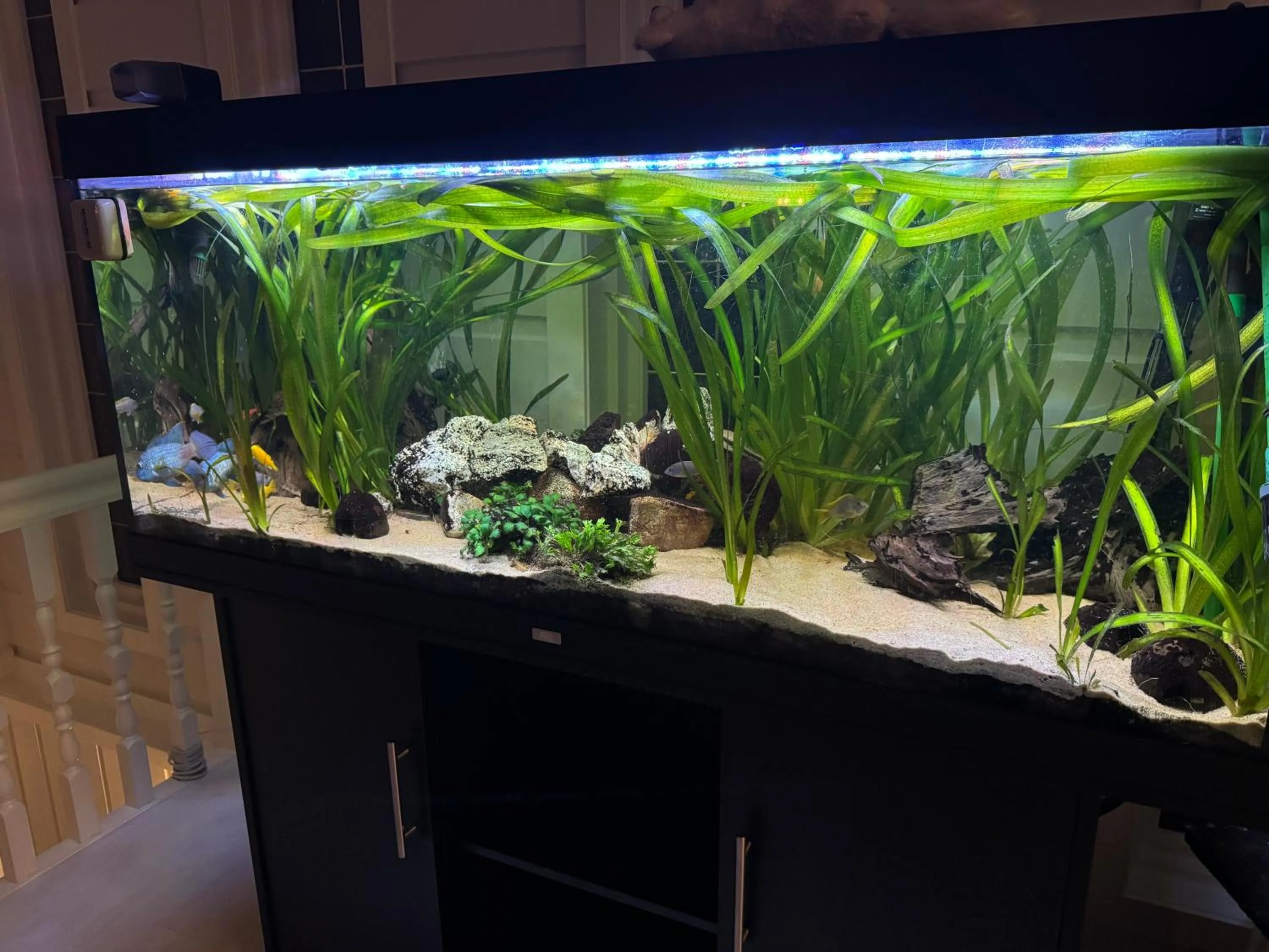 Just Like Home Bed & Spa - free private parking