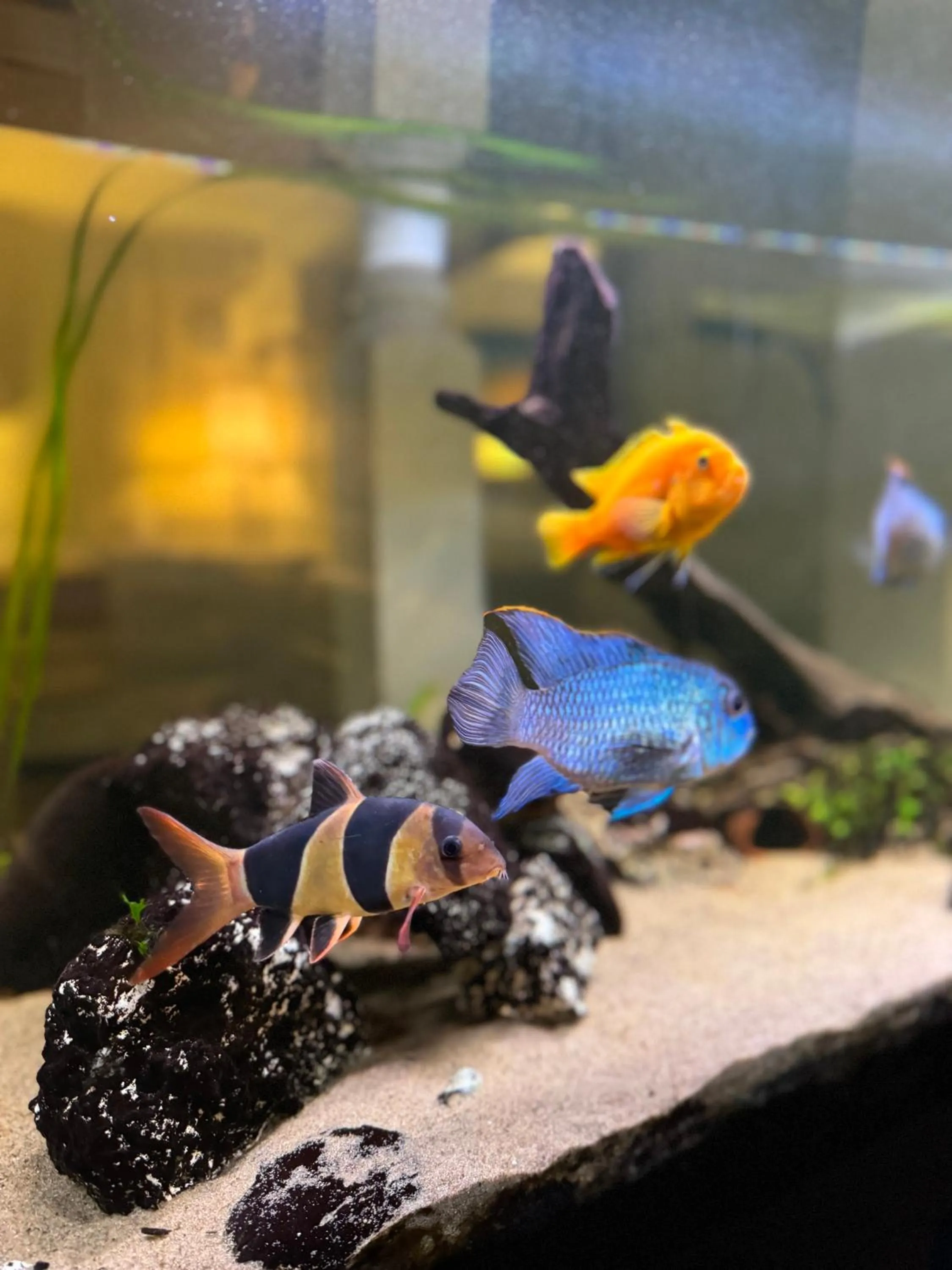 Spa and wellness centre/facilities in Just Like Home Bed & Spa - free private parking